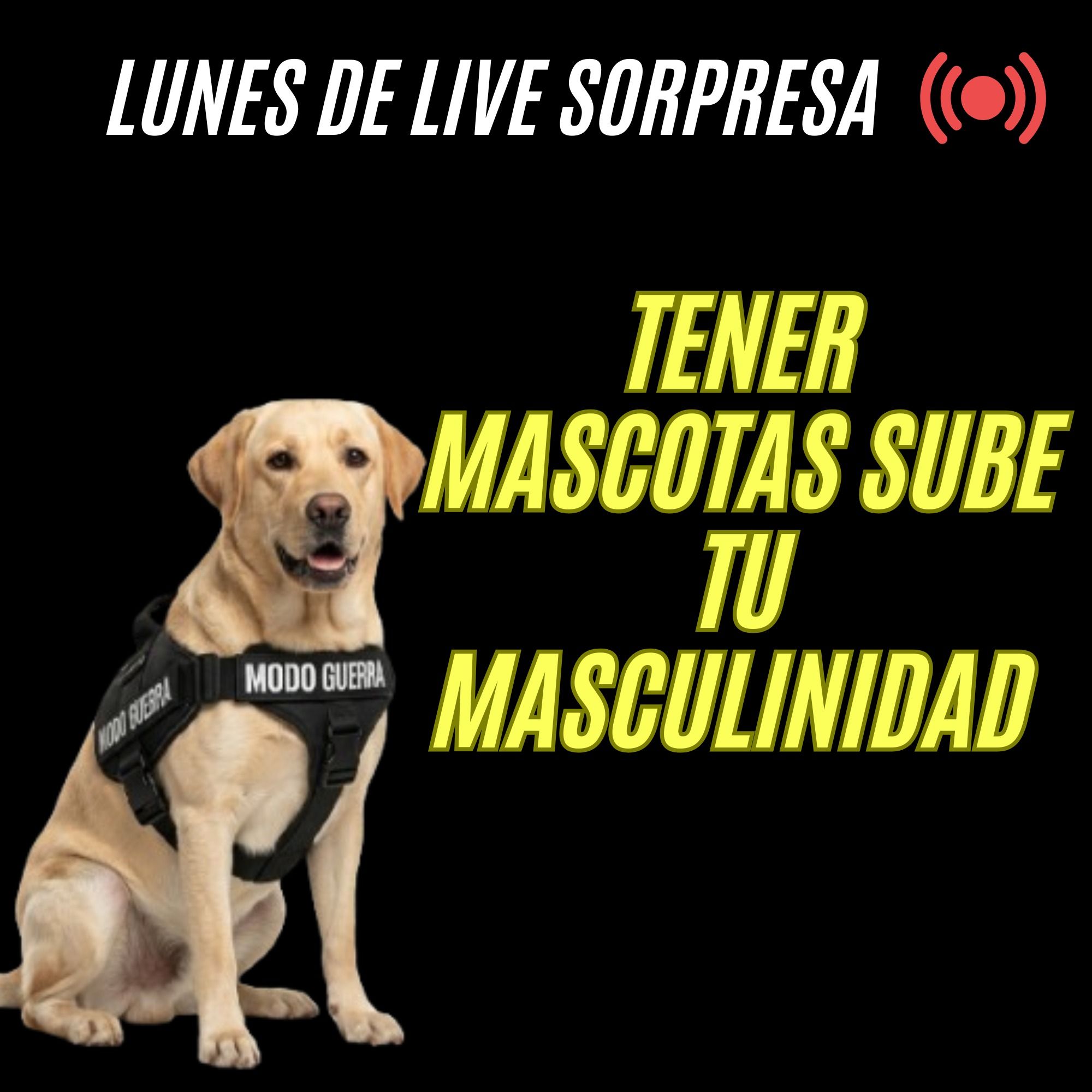 Tener MASCOTAS sube tu masculinidad 🐶🐱