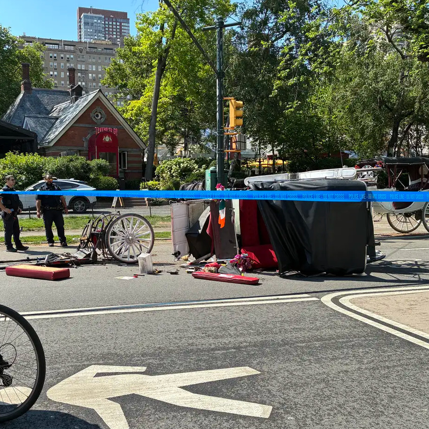 The Last Ride? New York City Moves Closer to Ending Horse Carriages