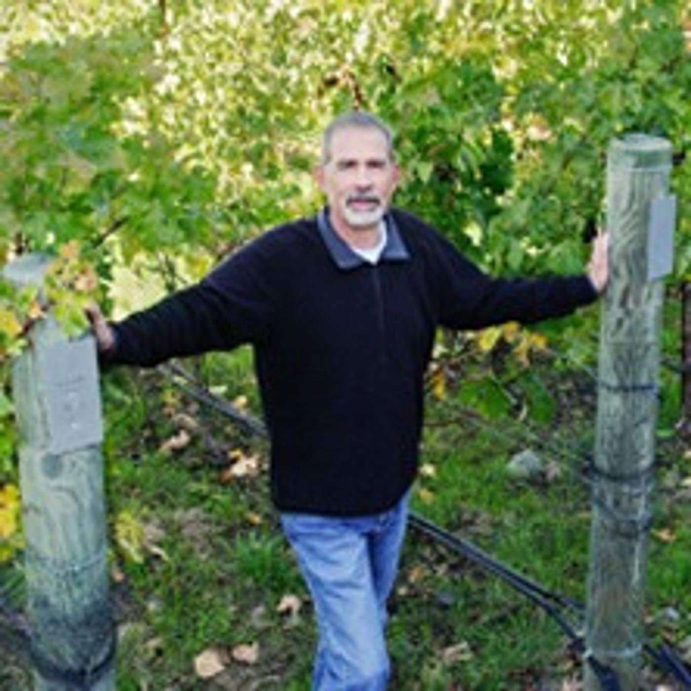 The Winemaker\'s Journey