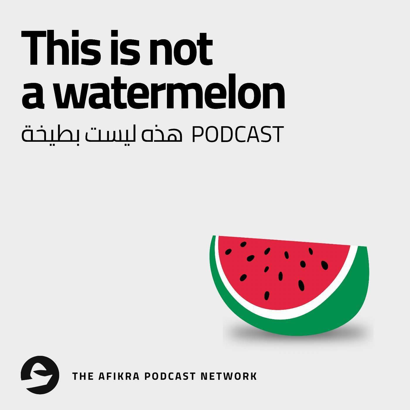 The Nakba on Netflix: Through the Eyes of a 14-year old Palestinian Girl | Darin Sallam episode artwork