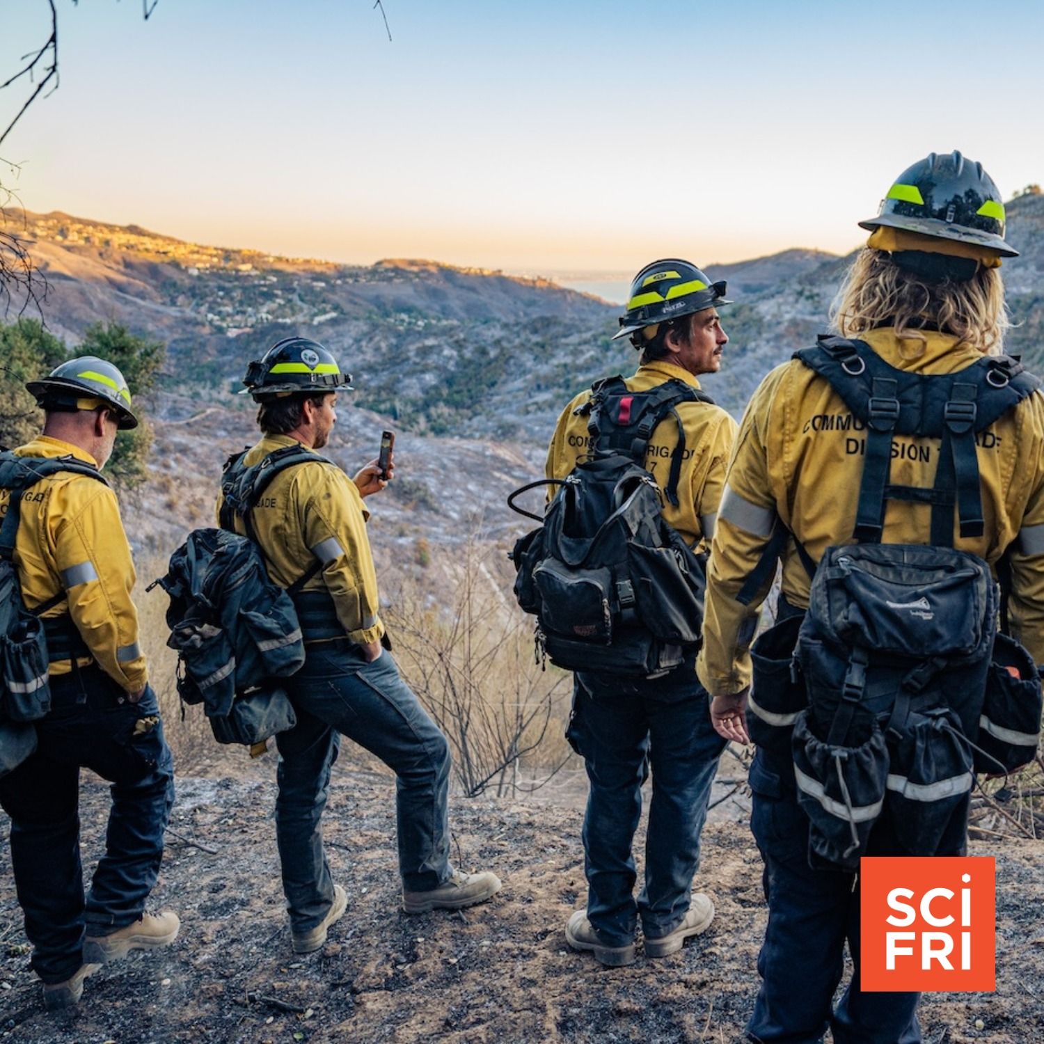 The Community Group Rethinking LA's Approach To Wildfires