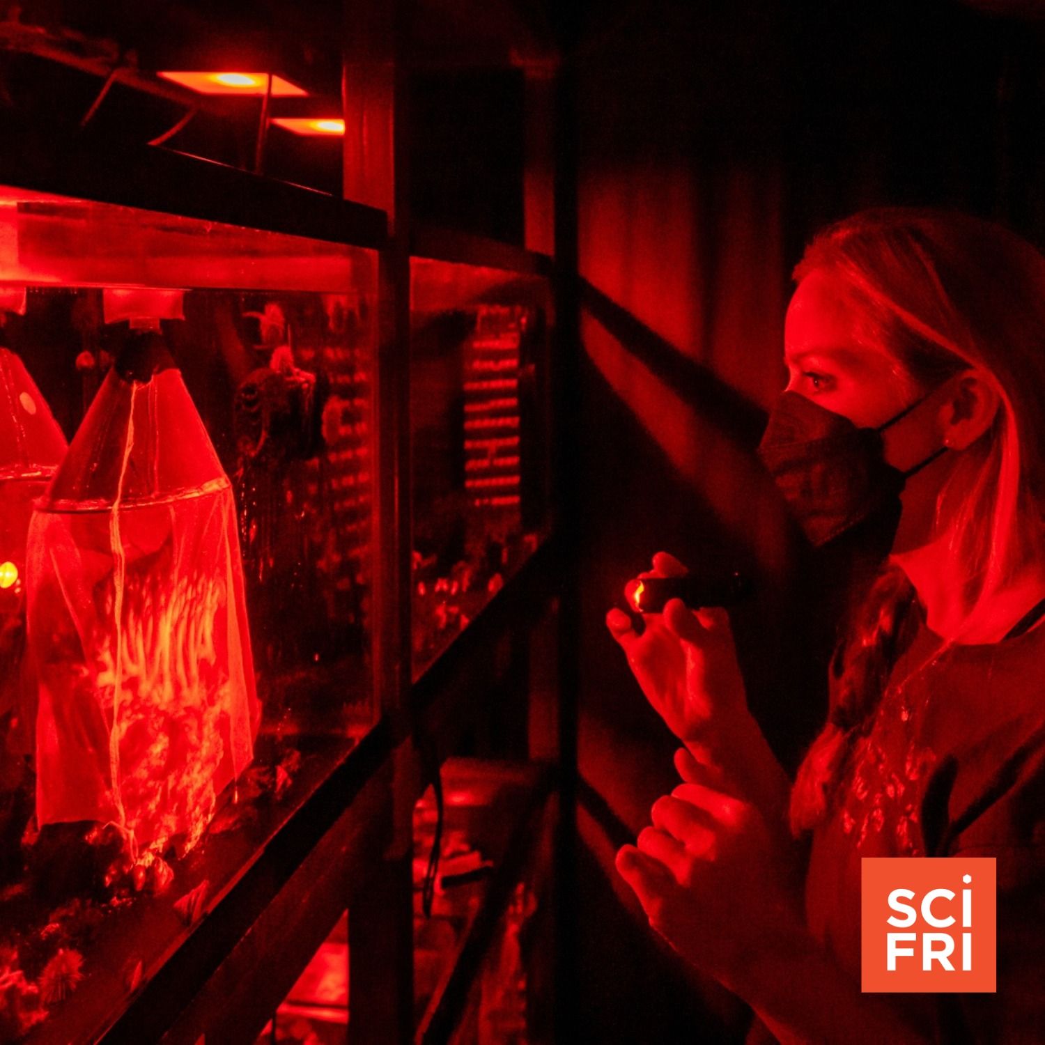 The High-Tech Lab Unlocking Secrets Of Coral Reproduction