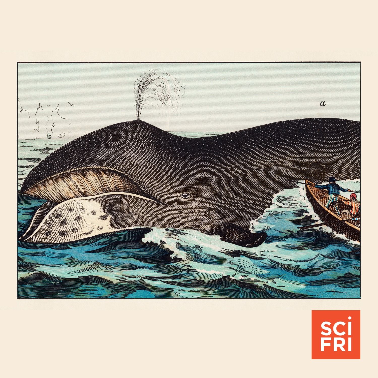 Can Animal Super-Agers Teach Us Their Secrets?