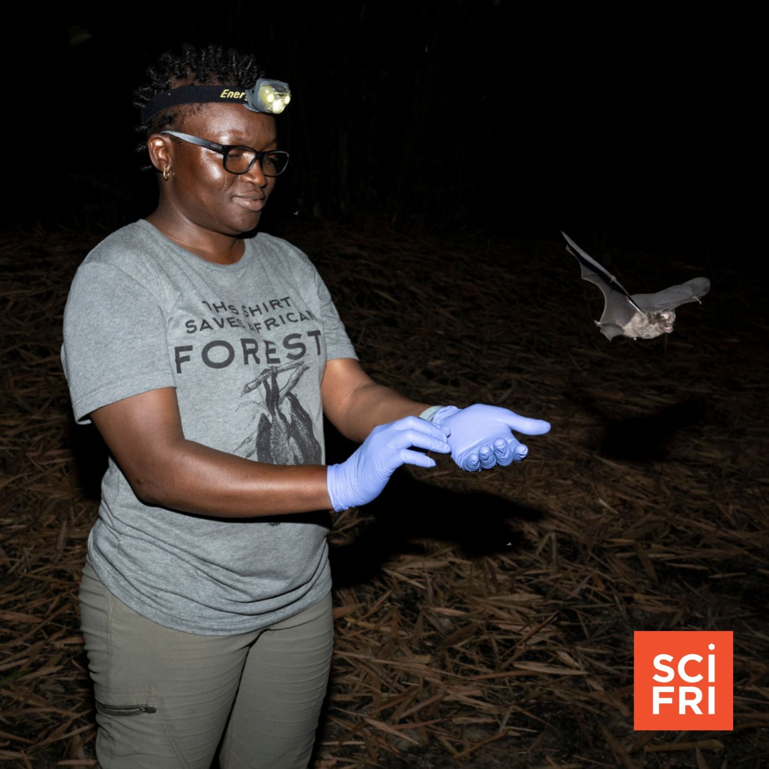 Raising A New Generation Of Bat Conservationists In West Africa