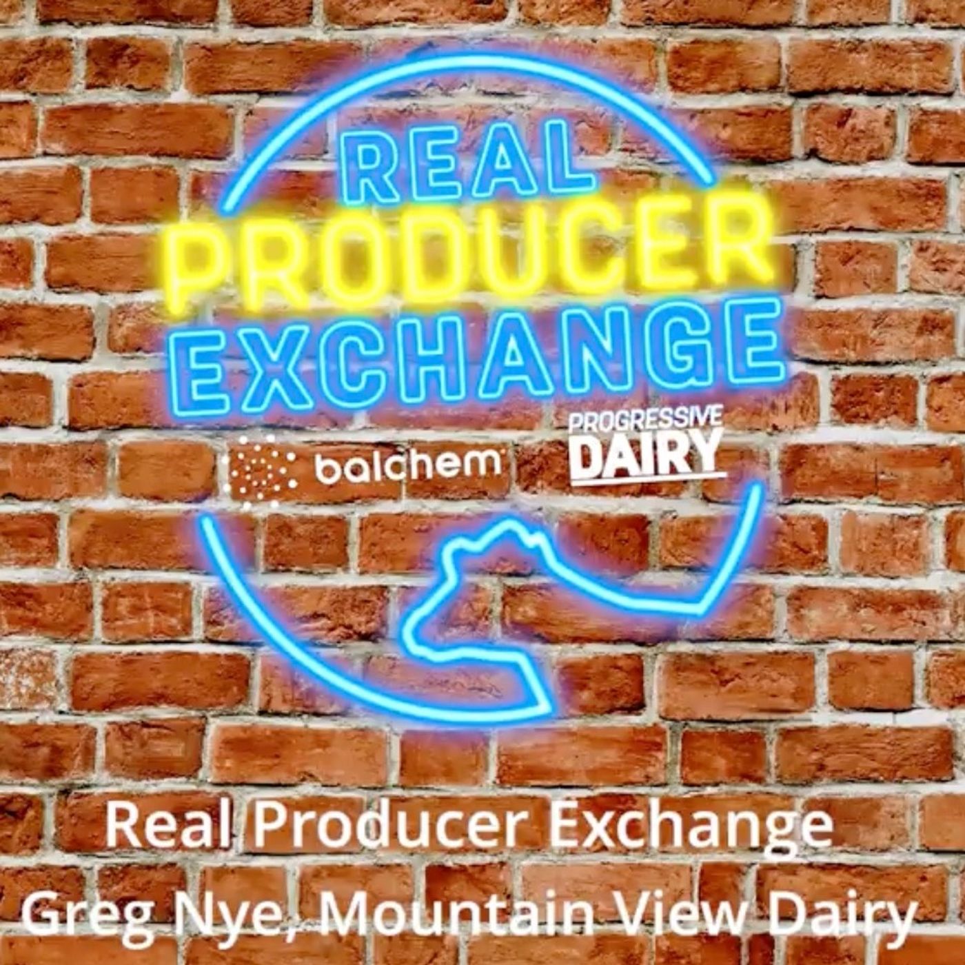 Real Producer Exchange: Greg Nye, Mountain View Dairy