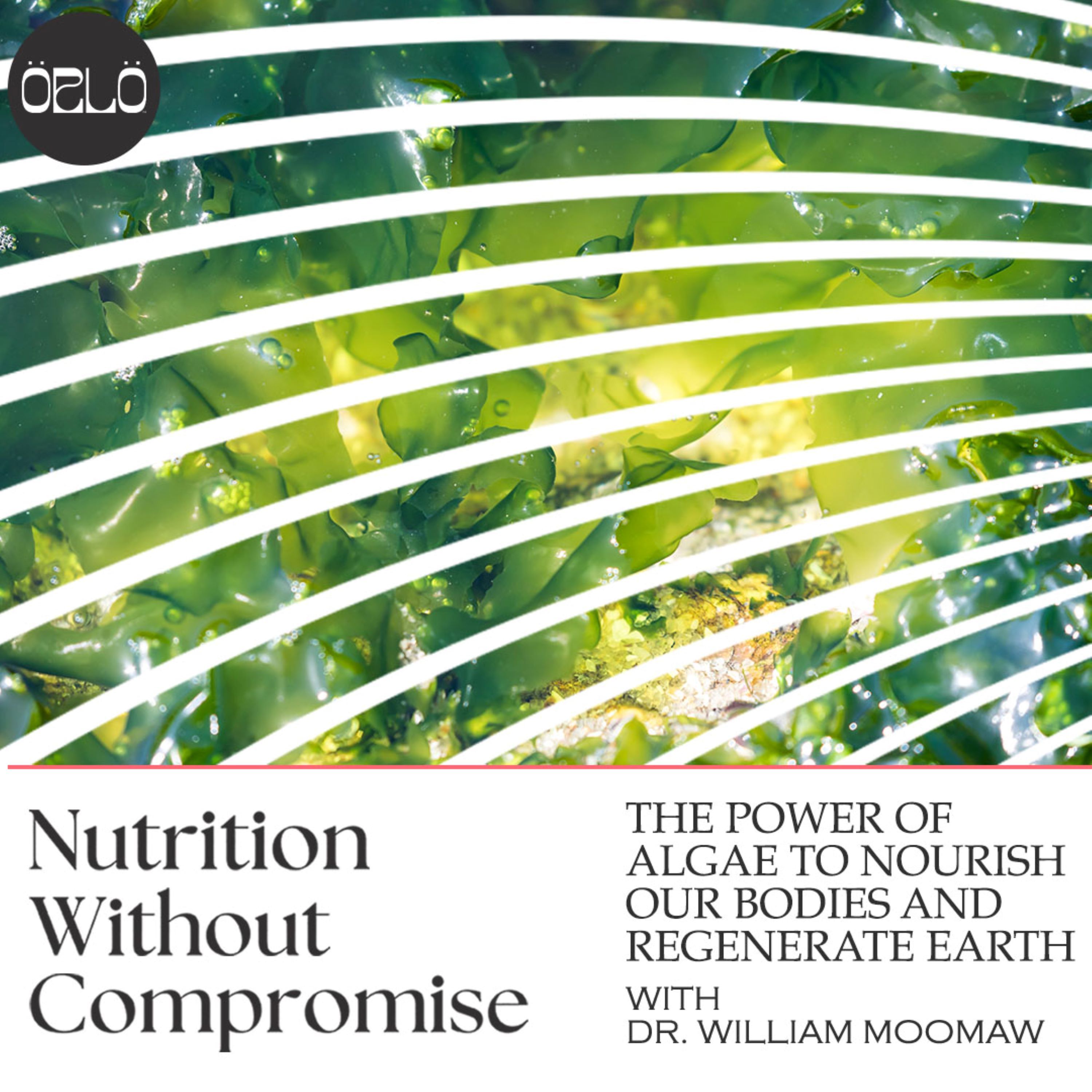 Nutrition Without Compromise: The Power Of Algae To Nourish Our Bodies And Regenerate Earth with Nobel laureate, Dr. William Moomaw
