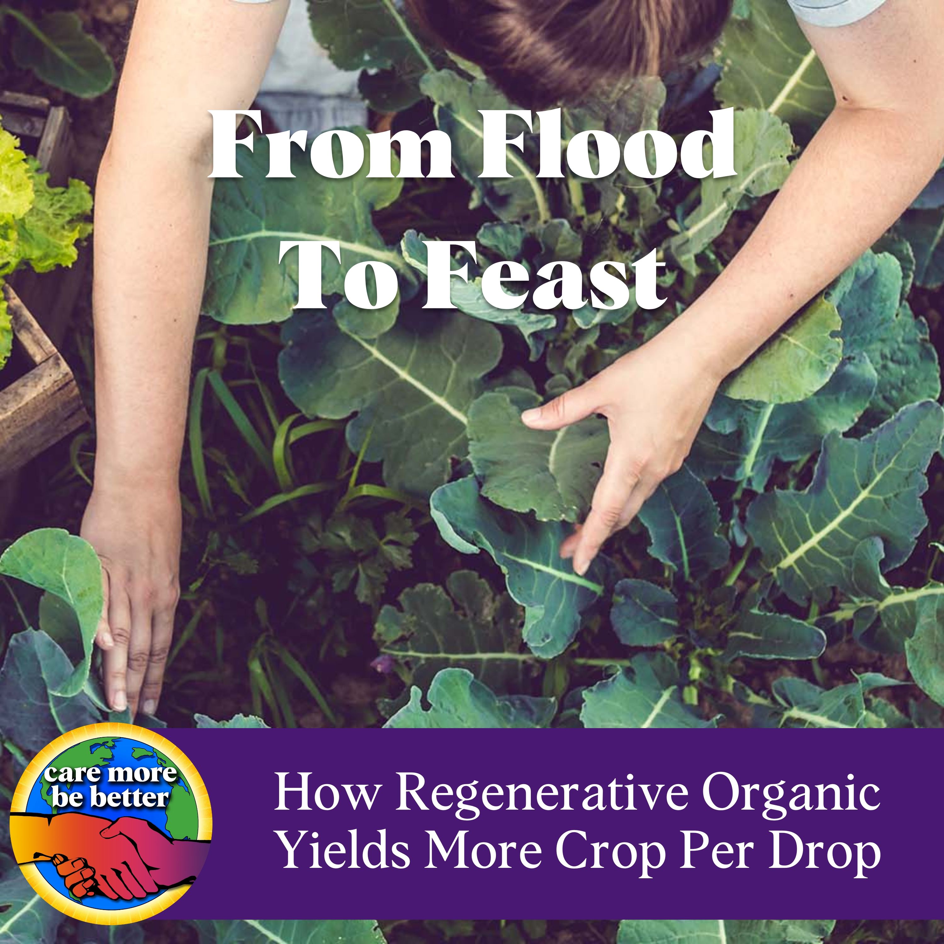 From Flood To Feast: How Regenerative Organic Farming Yields More Crop Per Drop with Caryl Levine & Ken Lee, founders of Lotus Foods