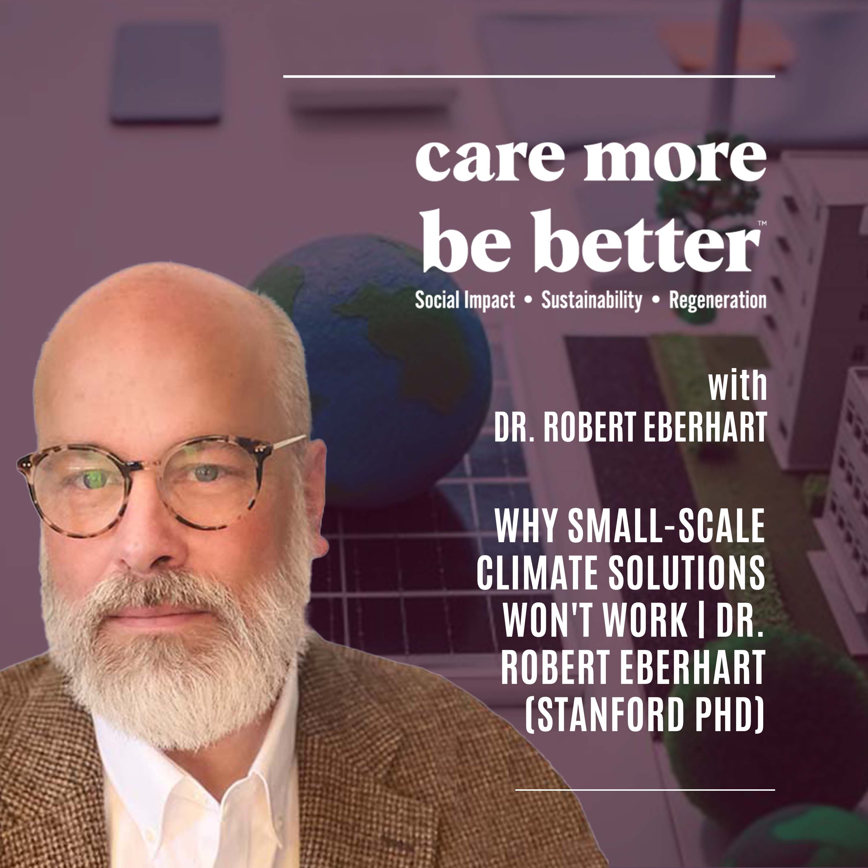 Why Small-Scale Climate Solutions Won't Work | Dr. Robert Eberhart (Stanford PhD)
