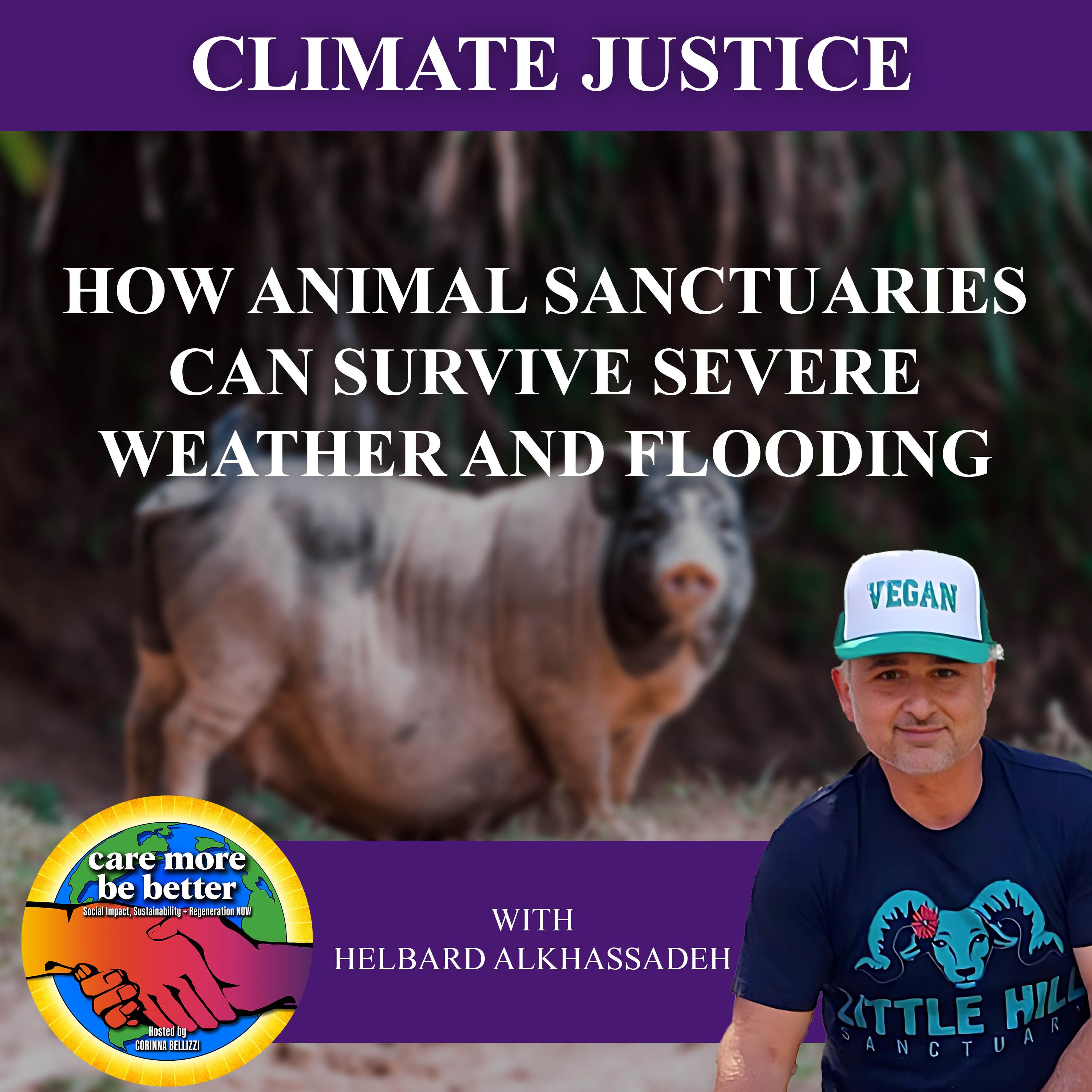 How Animal Sanctuaries Can Survive Severe Weather And Flooding With Helbard Alkhassadeh