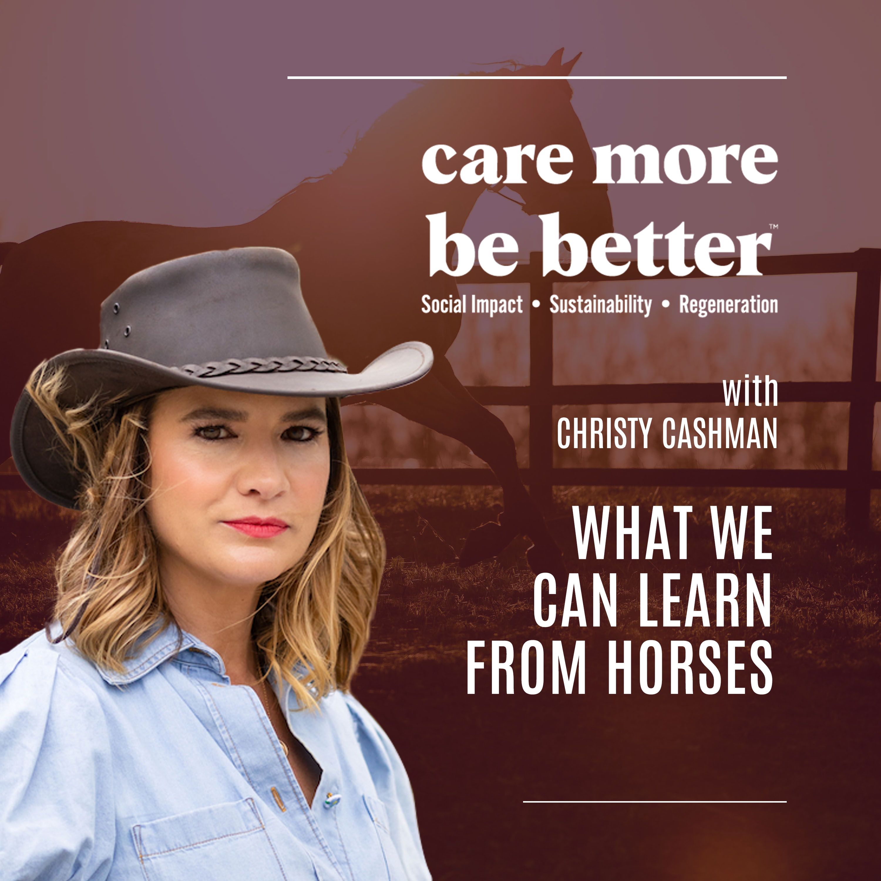 What We Can Learn From Horses With Christy Cashman
