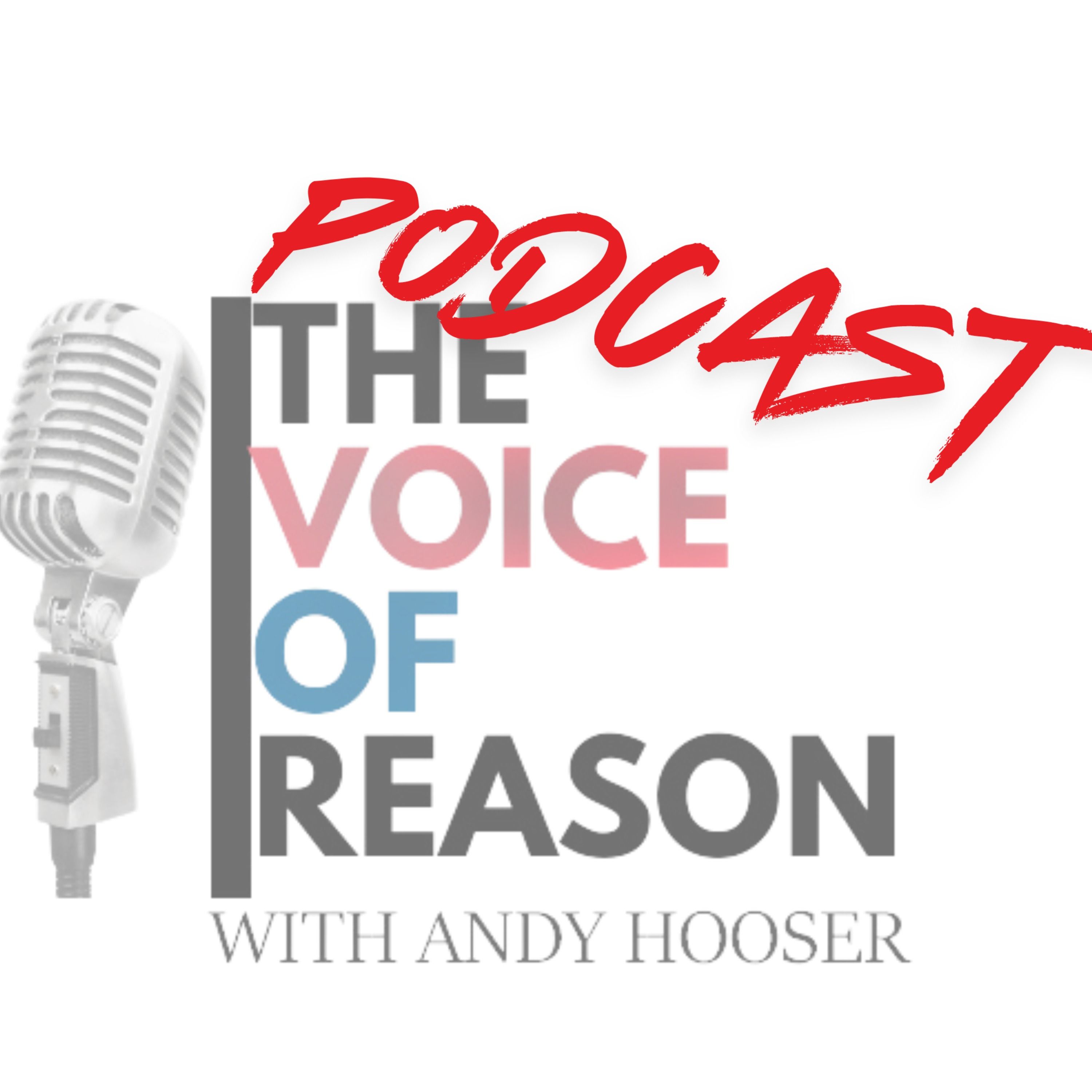 Linda Salvin: Political Violence, Unpopularity of Democrats, and Conspiracy Theories episode artwork
