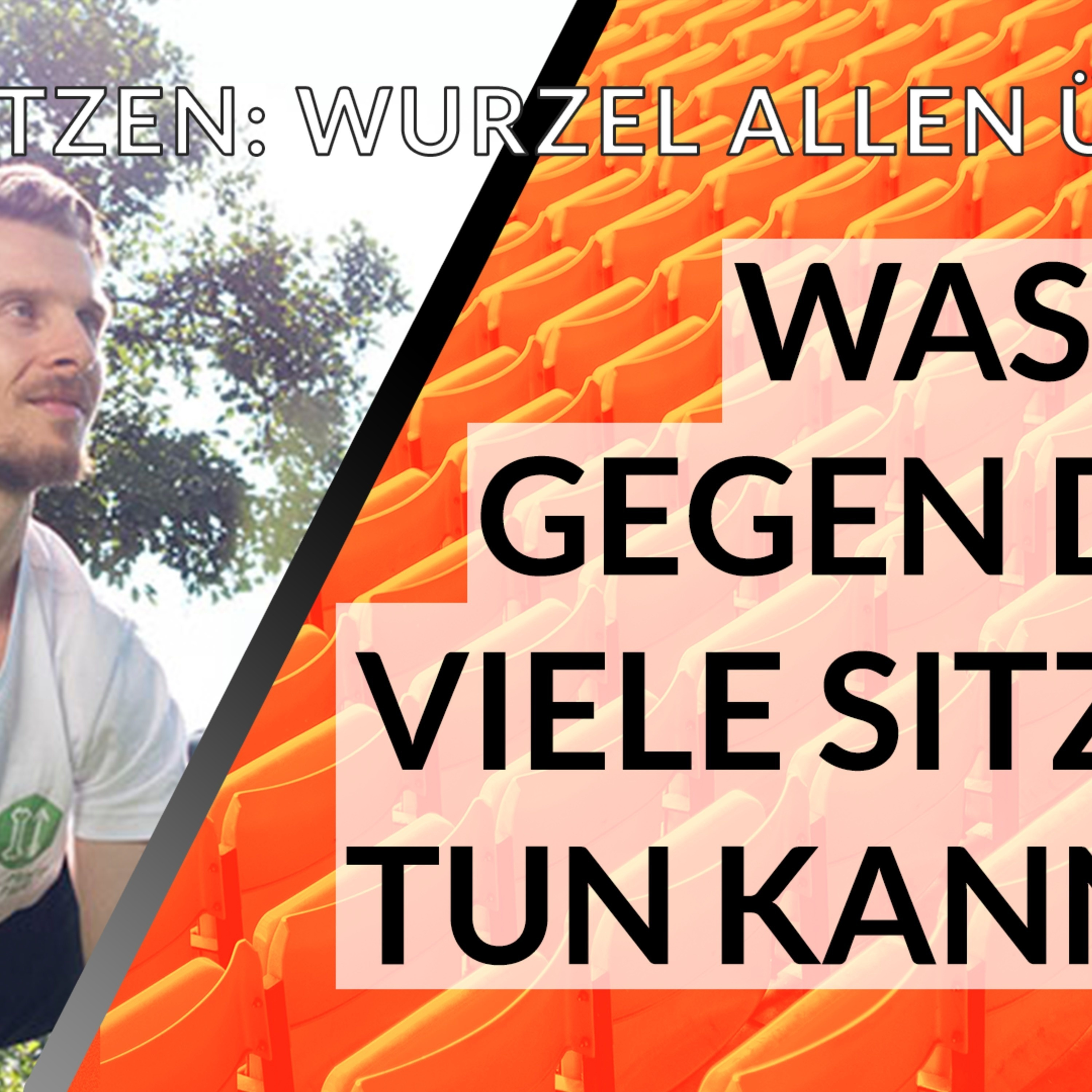 Was du gegen das viele Sitzen tun kannst - so schlimm ist Sitzen - Interview mit Christian Kollitsch von prinzippaleo.de episode artwork