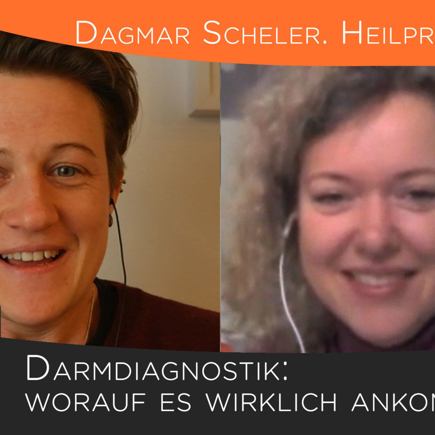 Darmdiagnostik bei Reizdarm und Leaky Gut: worauf es wirklich ankommt - Heilpraktikerin Dagmar Scheler im Interview episode artwork