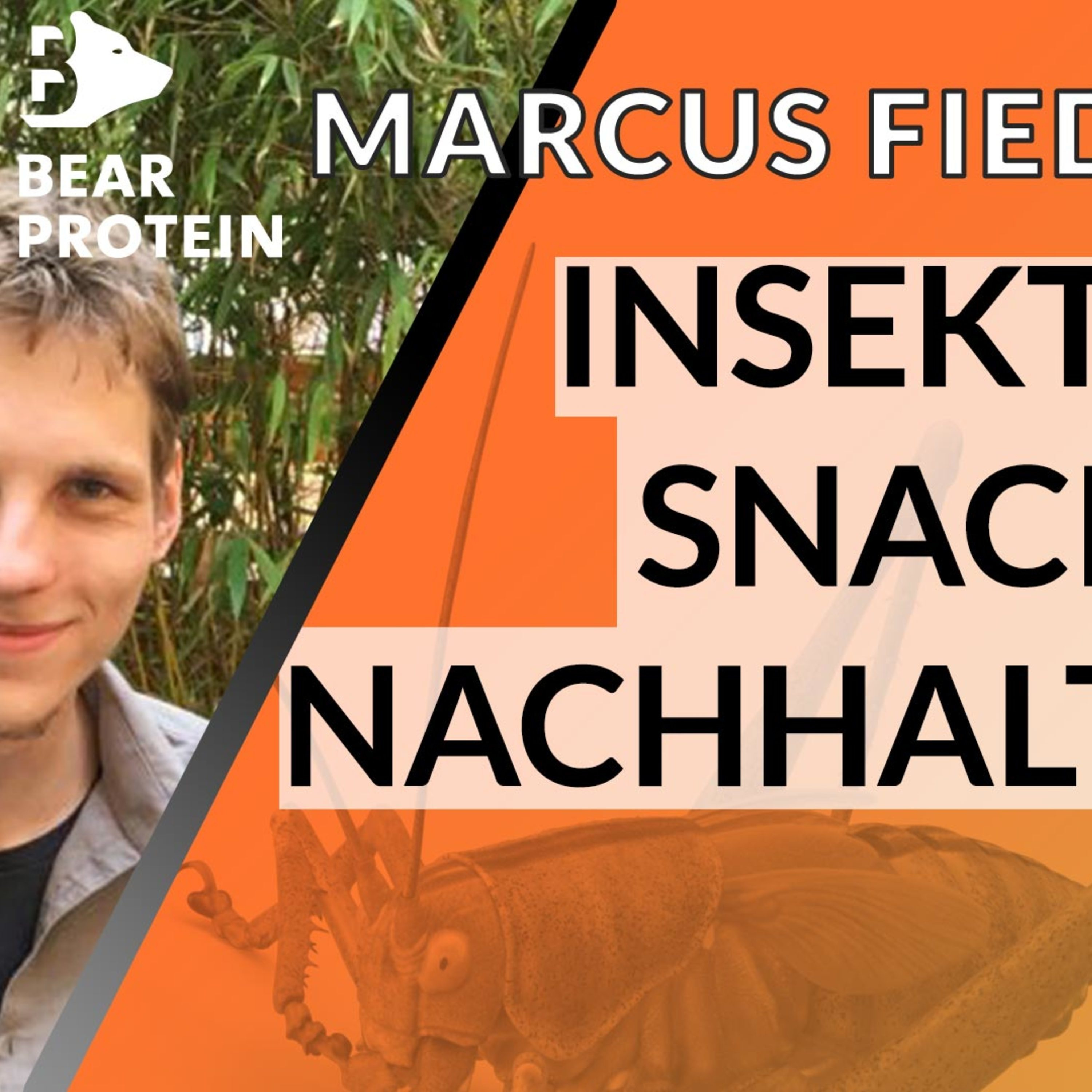 Snacks aus Insekten - sind sie nachhaltiger und gesünder als Fleisch? Marcus Fiedrich, Gründer von BEAR Protein, im Interview episode artwork
