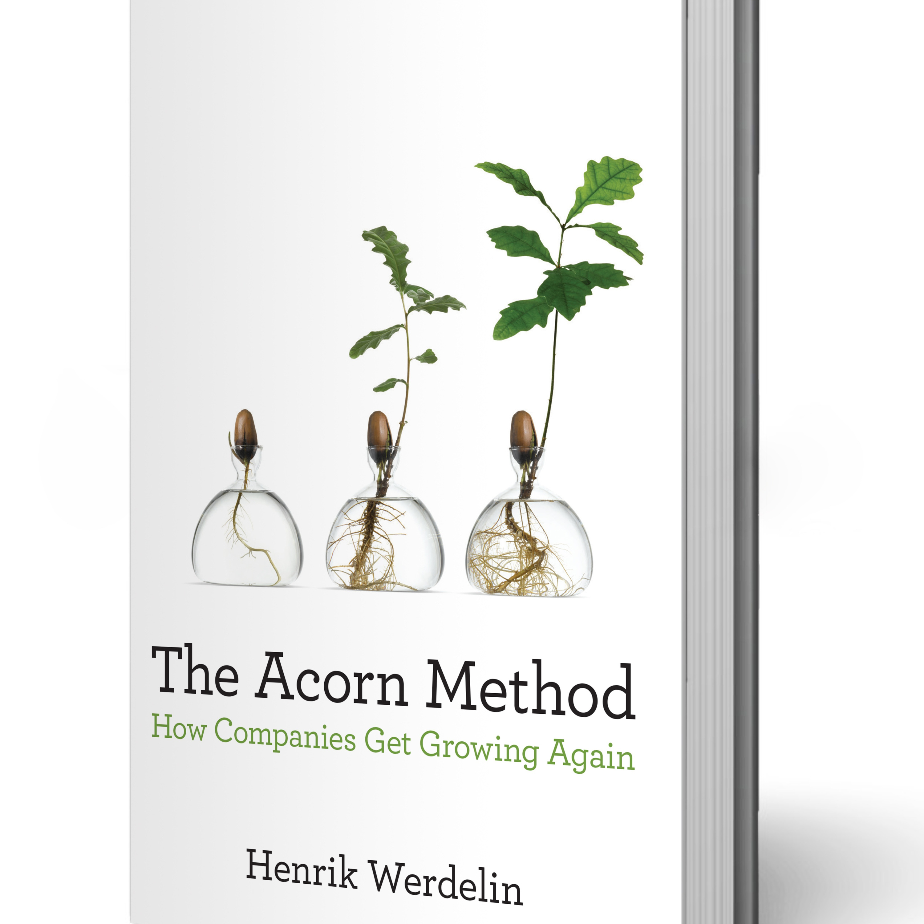 How companies can grow in uncertain times - a new book about entrepreneurship inside organizations