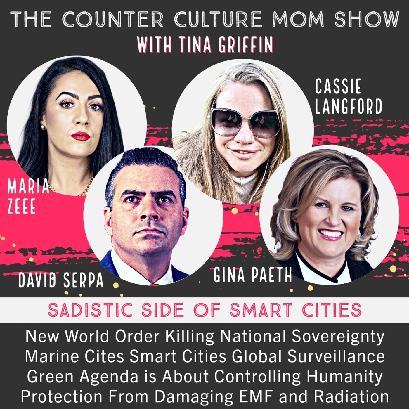 New World Order Killing National Sovereignty, Financial Freedom, and Privacy - Maria Zeee