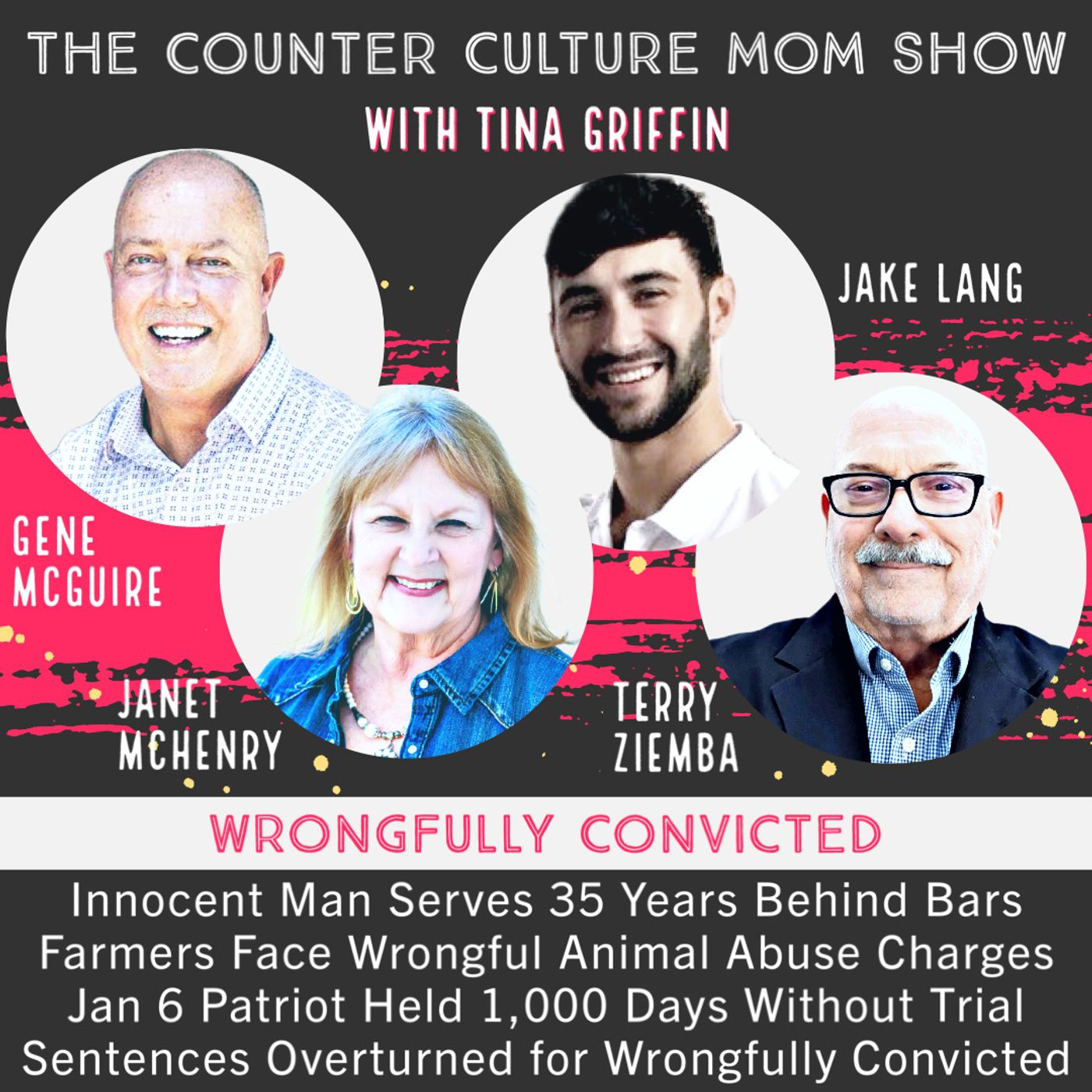 Why People are Wrongfully Convicted and How Their Sentences are Overturned - Terry Ziemba