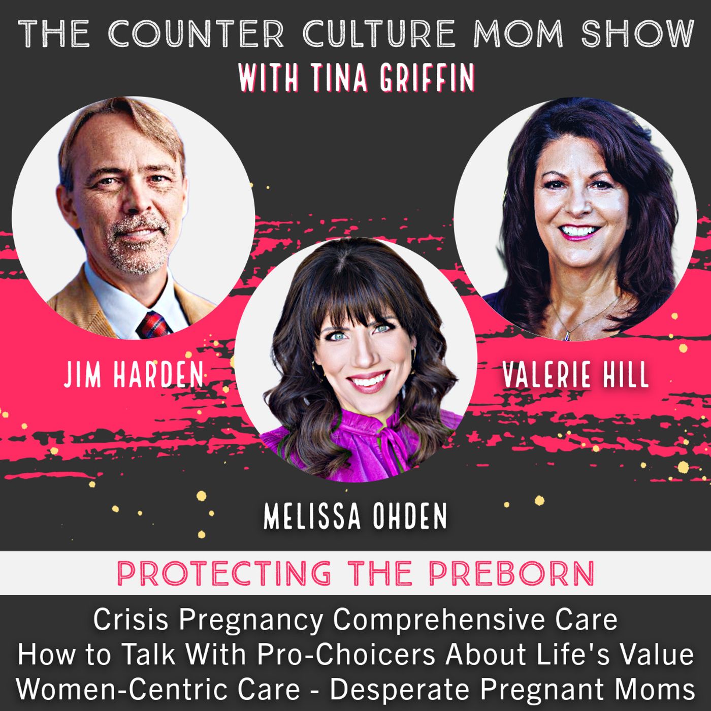 The Counter Culture Mom Show with Tina Griffin