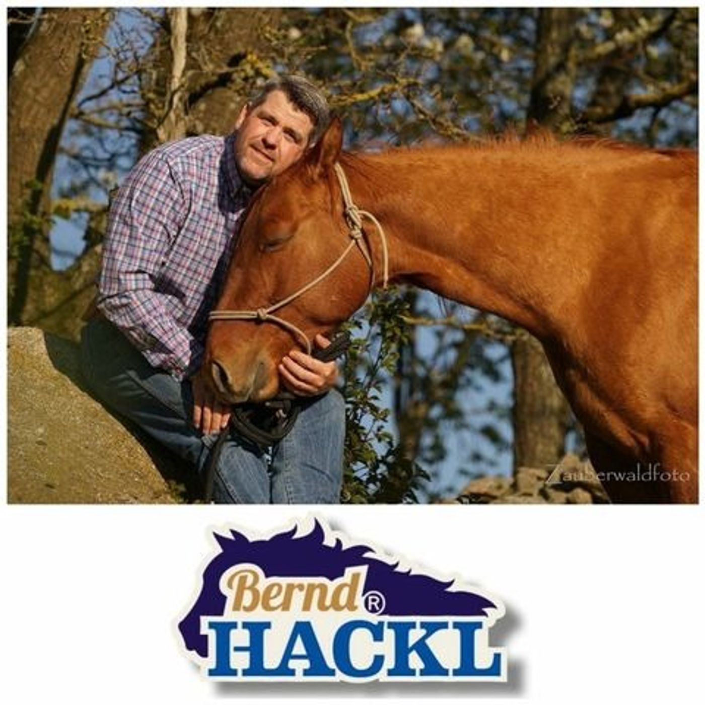 #80/3 BERND HACKL Pferdetrainer, DQHA Professional Horseman o4/21 episode artwork