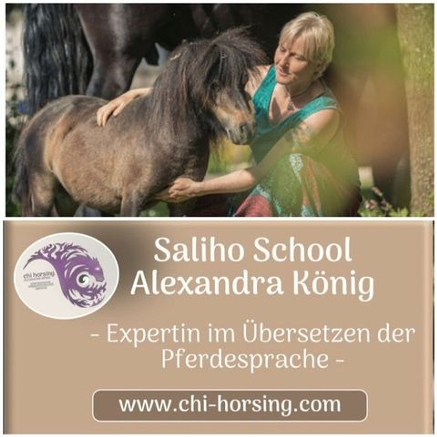 Julia SCHÜTZE dein Pferd 🐴