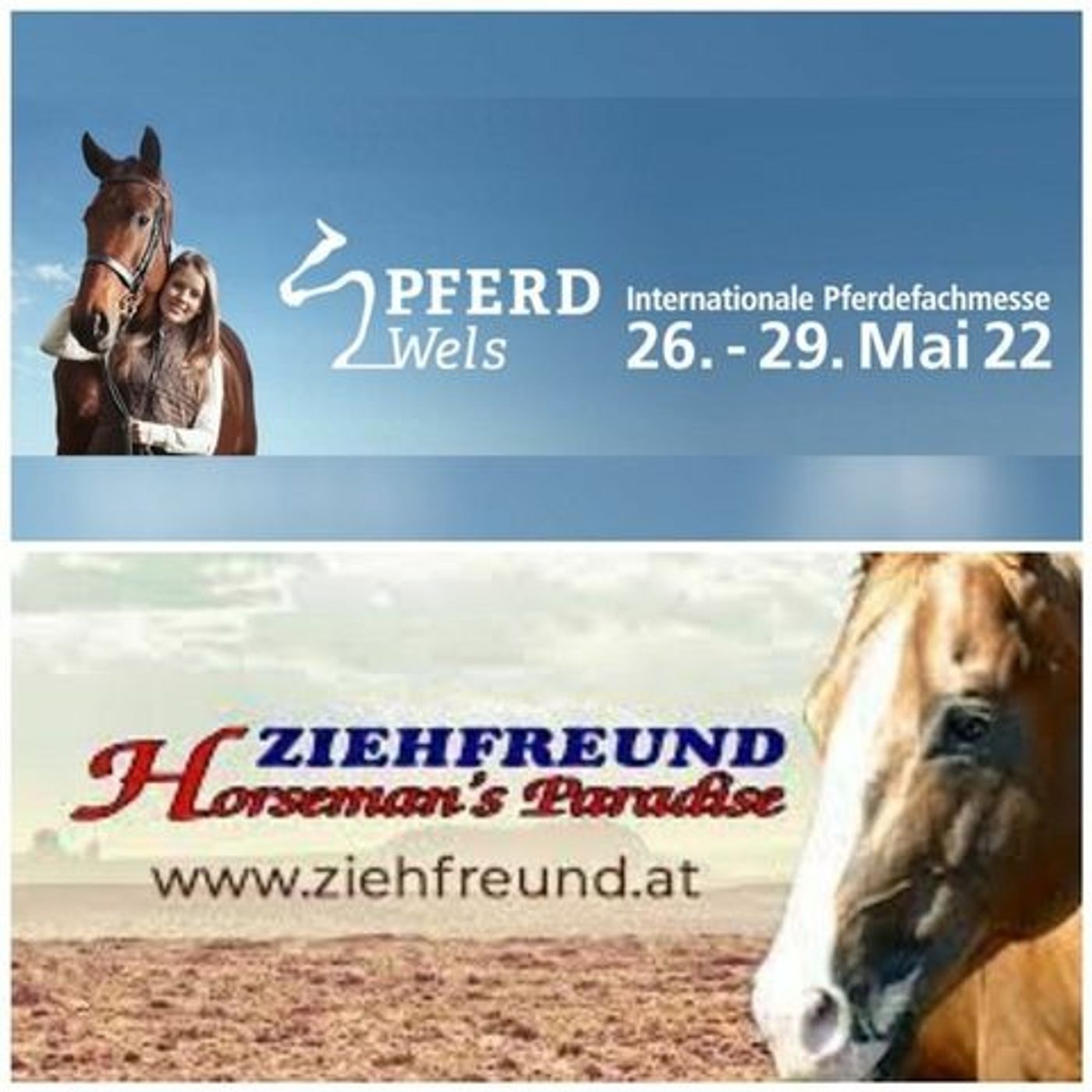 #96/2 OTTO ZIEHFREUND Western Horse Show-Gründer, Reitsporthändler & Sattler o8/21 episode artwork