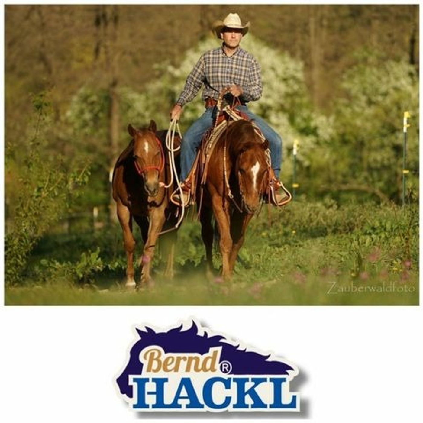 #80/1 BERND HACKL Pferdetrainer, DQHA Professional Horseman o4/21 episode artwork