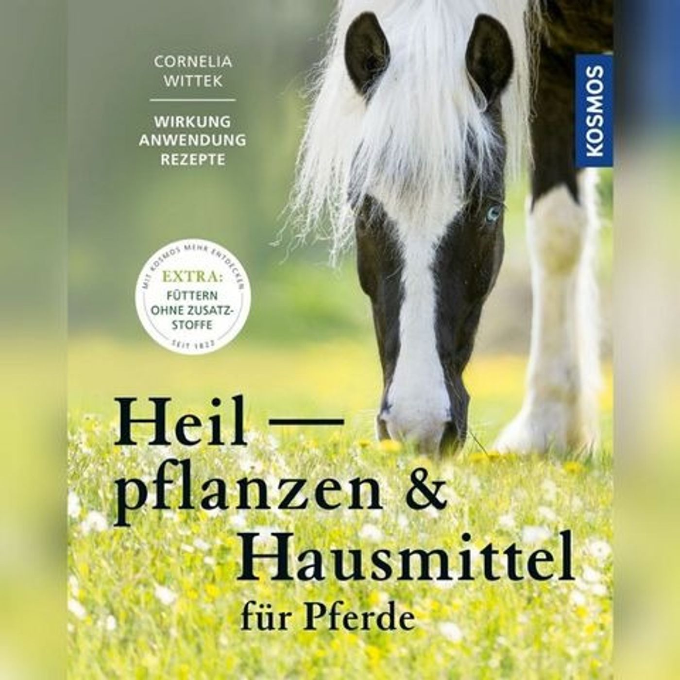 Julia SCHÜTZE dein Pferd 🐴