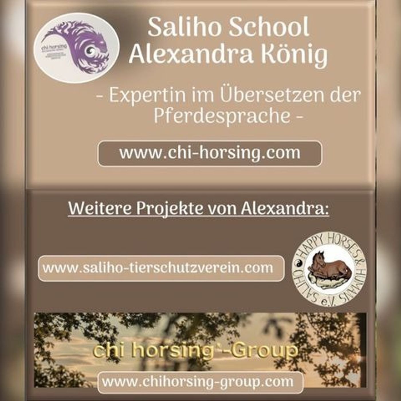 Julia SCHÜTZE dein Pferd 🐴