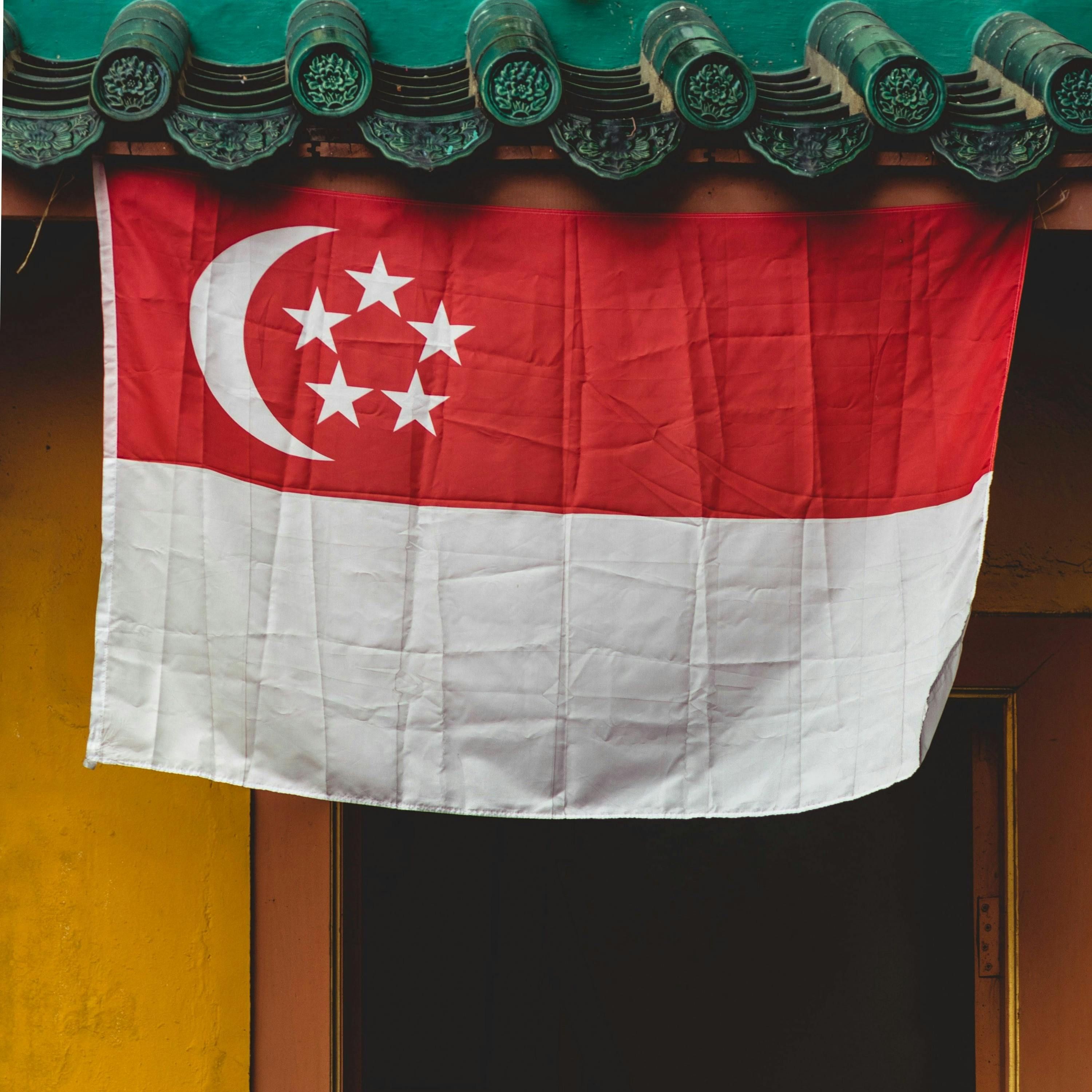 The Role of History Education in the Development of the Singapore Story - Dr Yeow-Tong Chia episode artwork