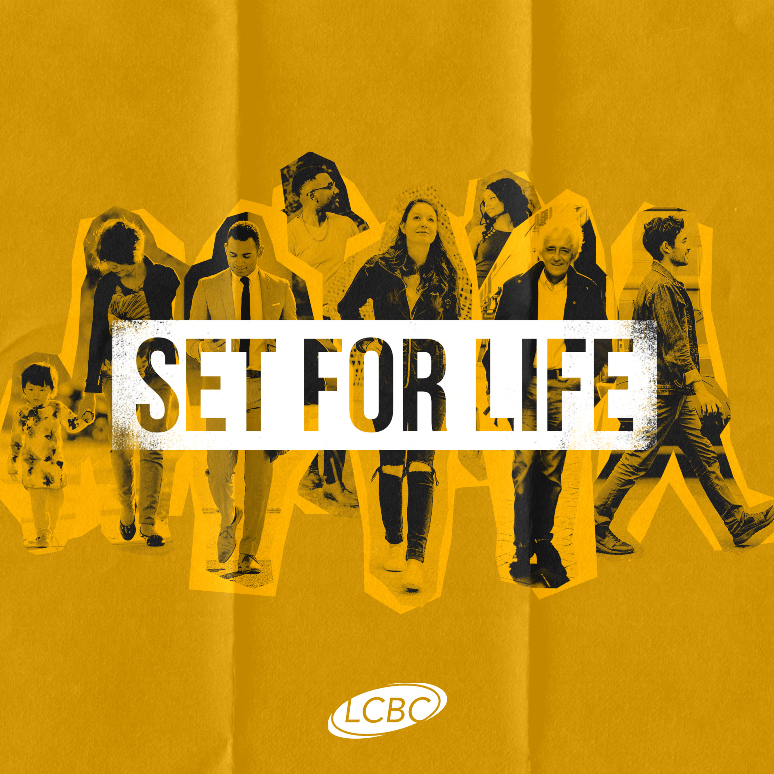 Own The Mess  - Set For Life