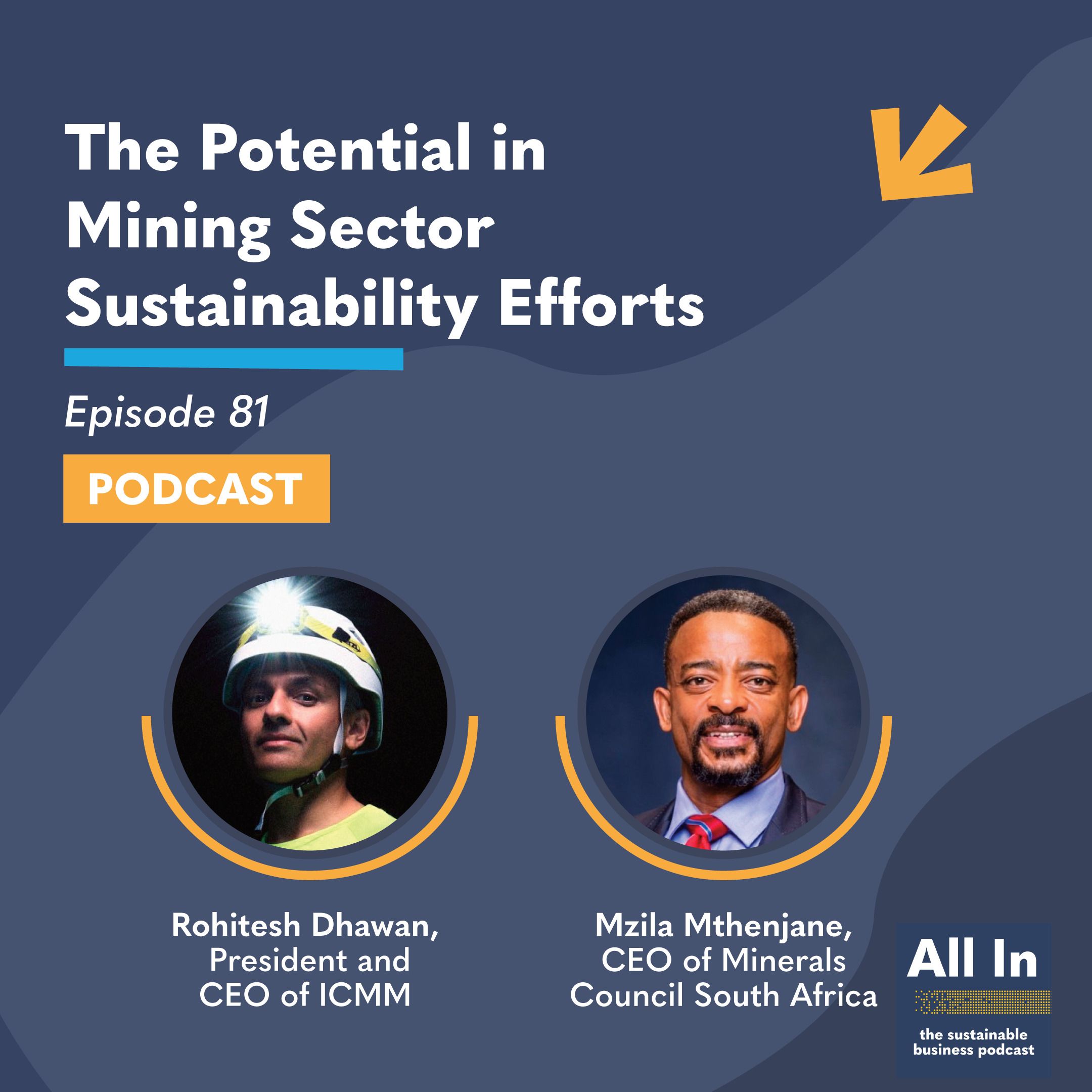 The Potential in Mining Sector Sustainability Efforts