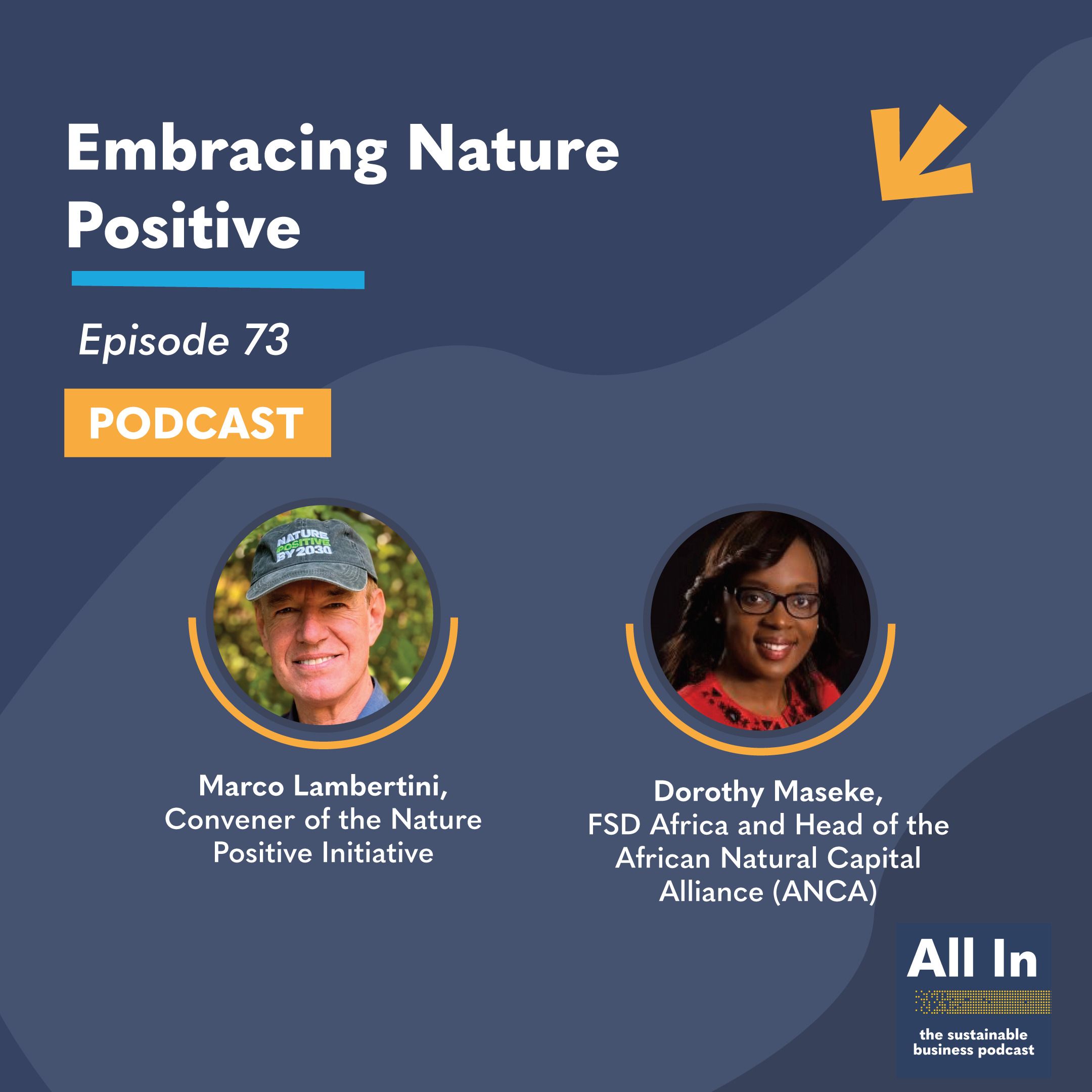 All In - The Sustainable Business Podcast