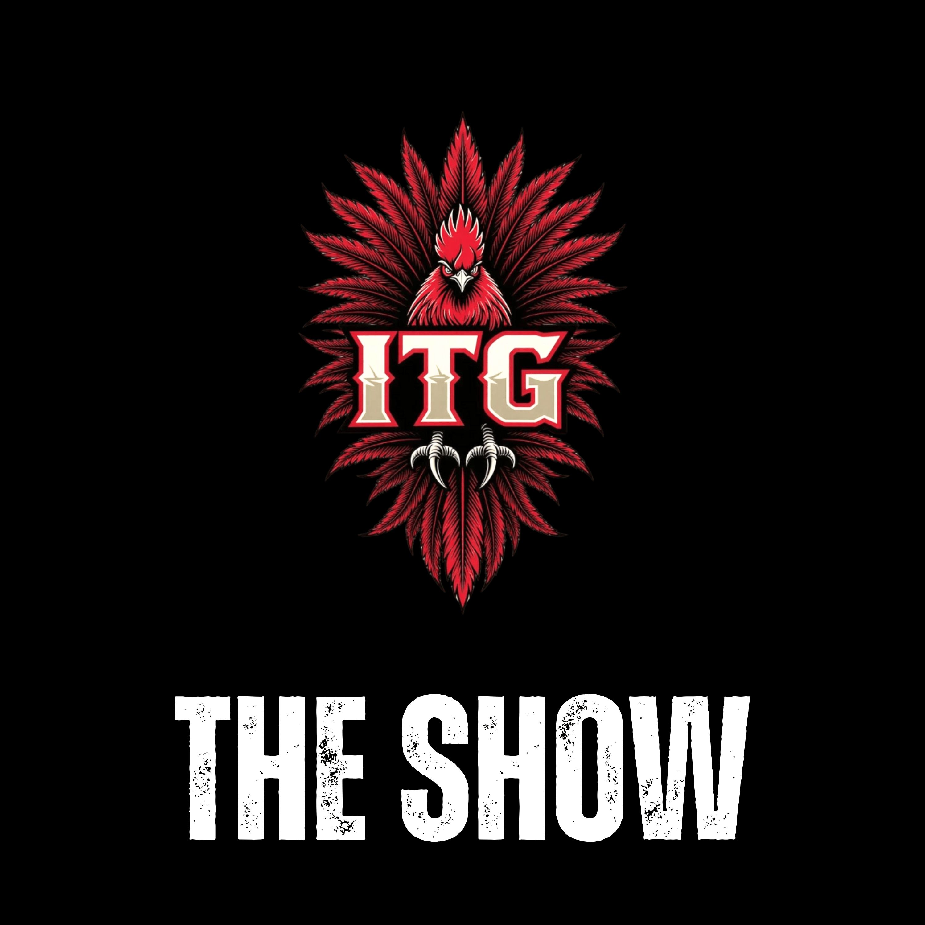 The Show: Birthday Shoot Around episode artwork
