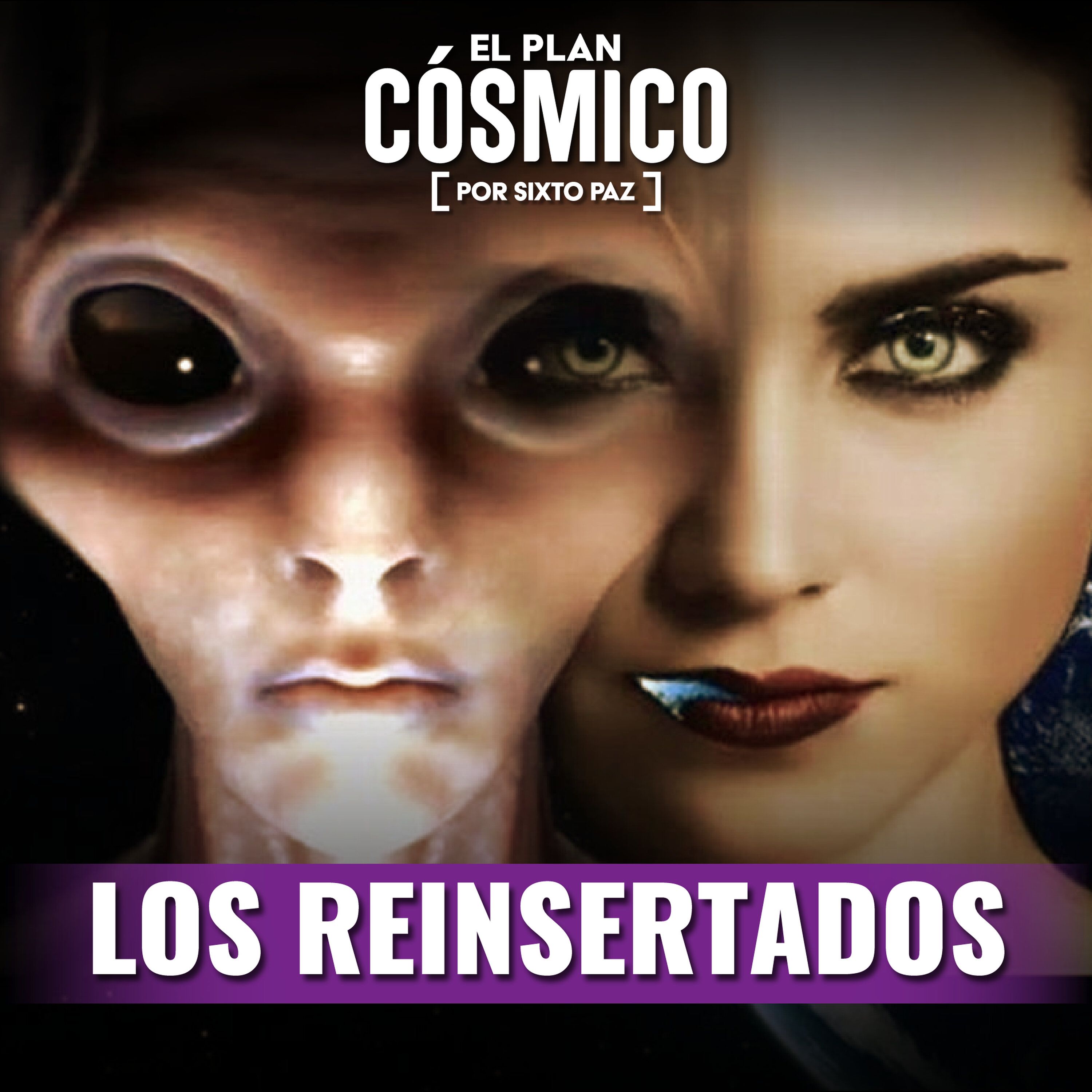 Los Reinsertados