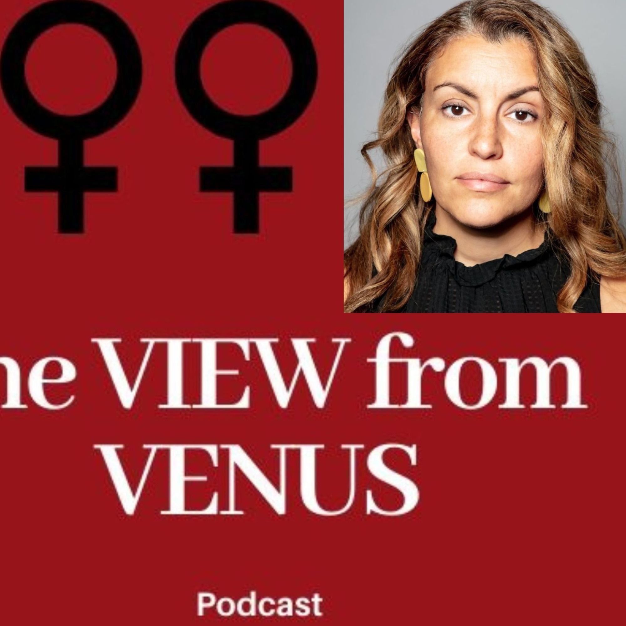 7.5 The Limitations of Diversity Work with Ariana González Stokas