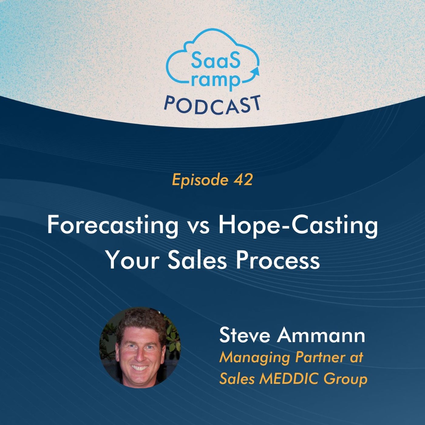 42: Forecasting vs Hope-Casting Your Sales Process with Steve Ammann of MEDDIC Group
