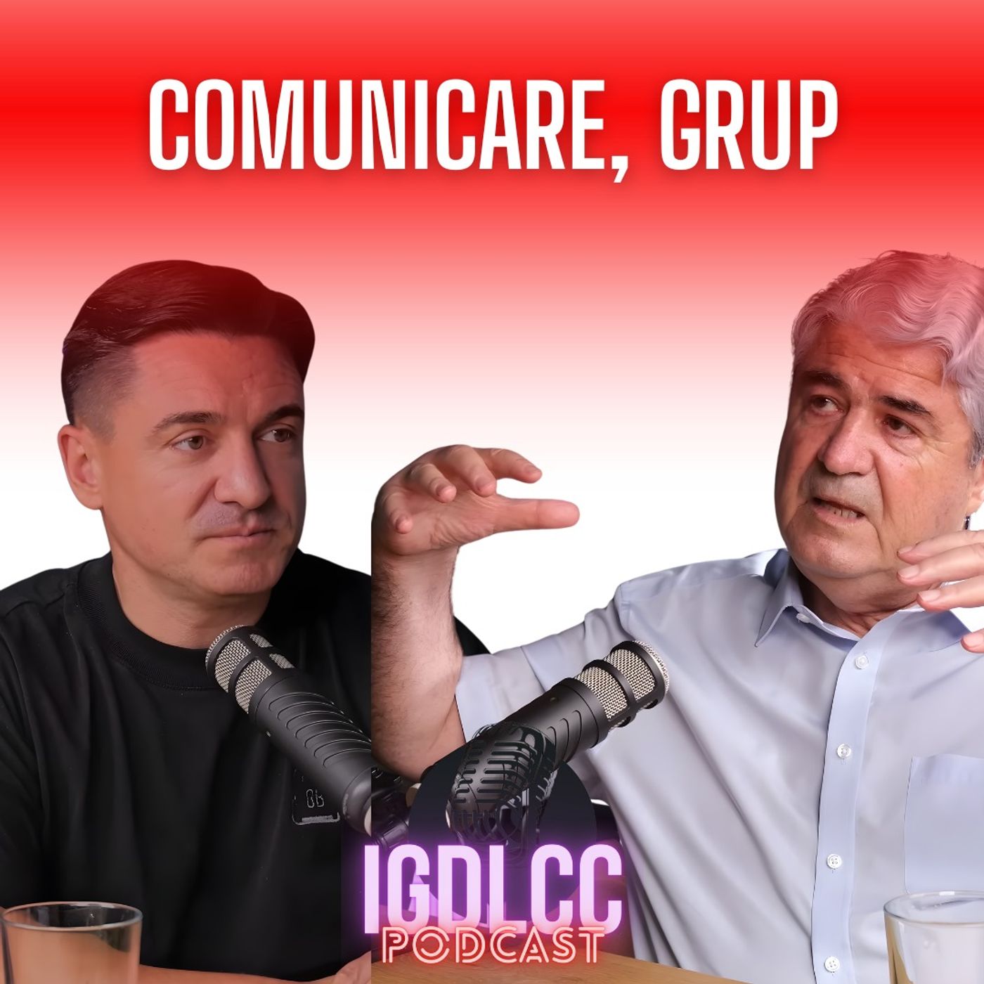 CUM VORBIM CA GRUP? - COMUNICARE CU PROF. DUMITRU BORȚUN #IGDLCC 304