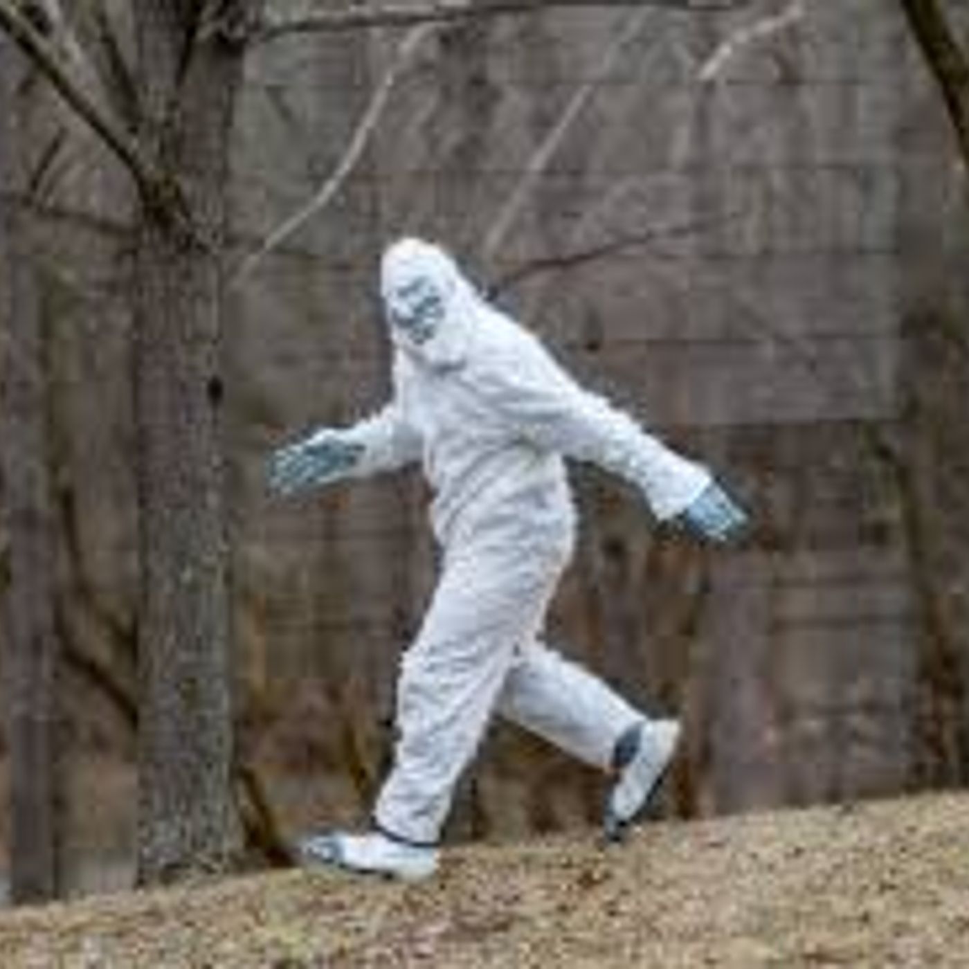 SOUNDS LIKE BIGFOOT IS NOT TO BLAME: THE DISAPPEARANCE OF THERESA BIER, AMBER AIAZ AND MELISSA FU