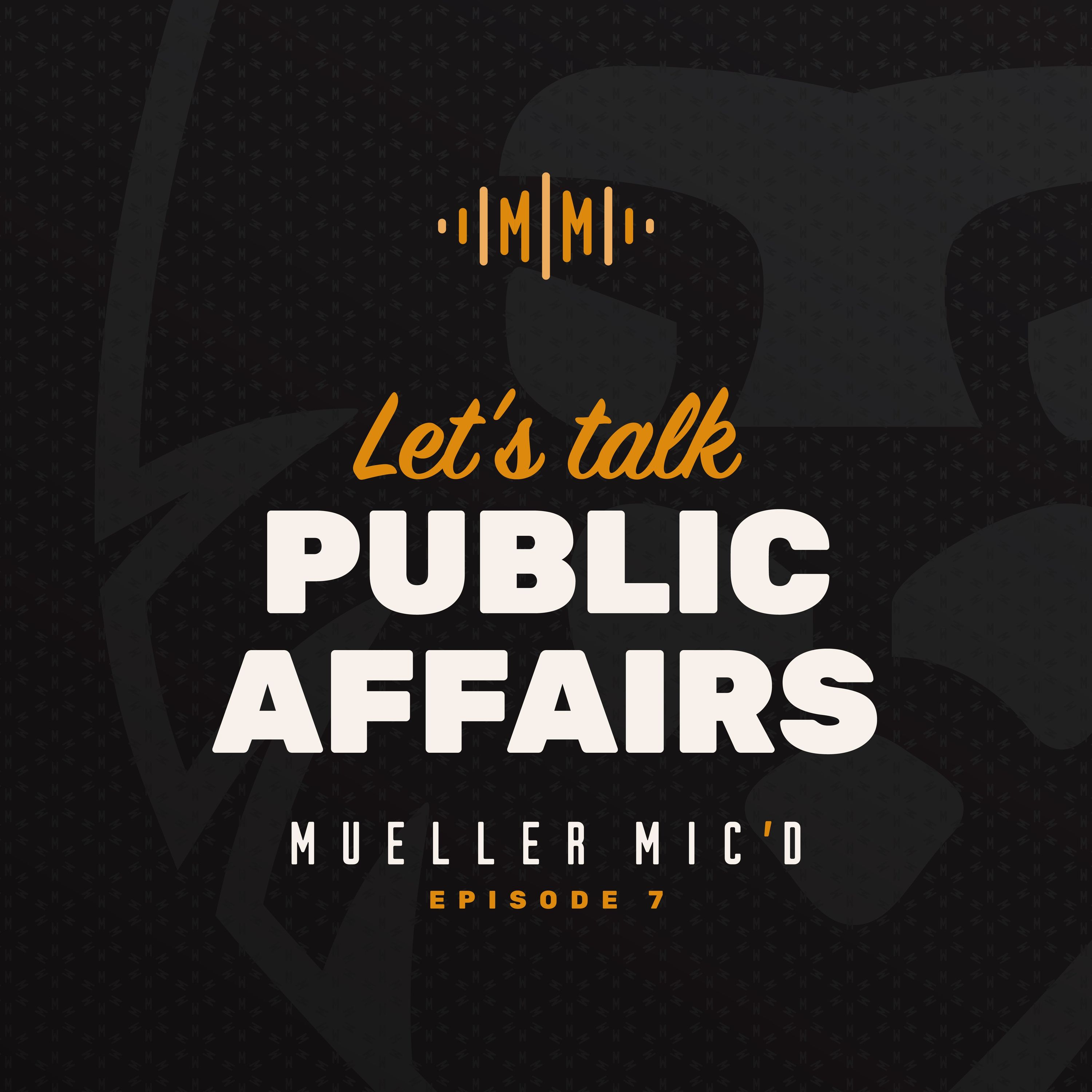 Public Affairs: Building Bridges, Shaping Outcomes Public Affairs: Building Bridges, Shaping Outcomes