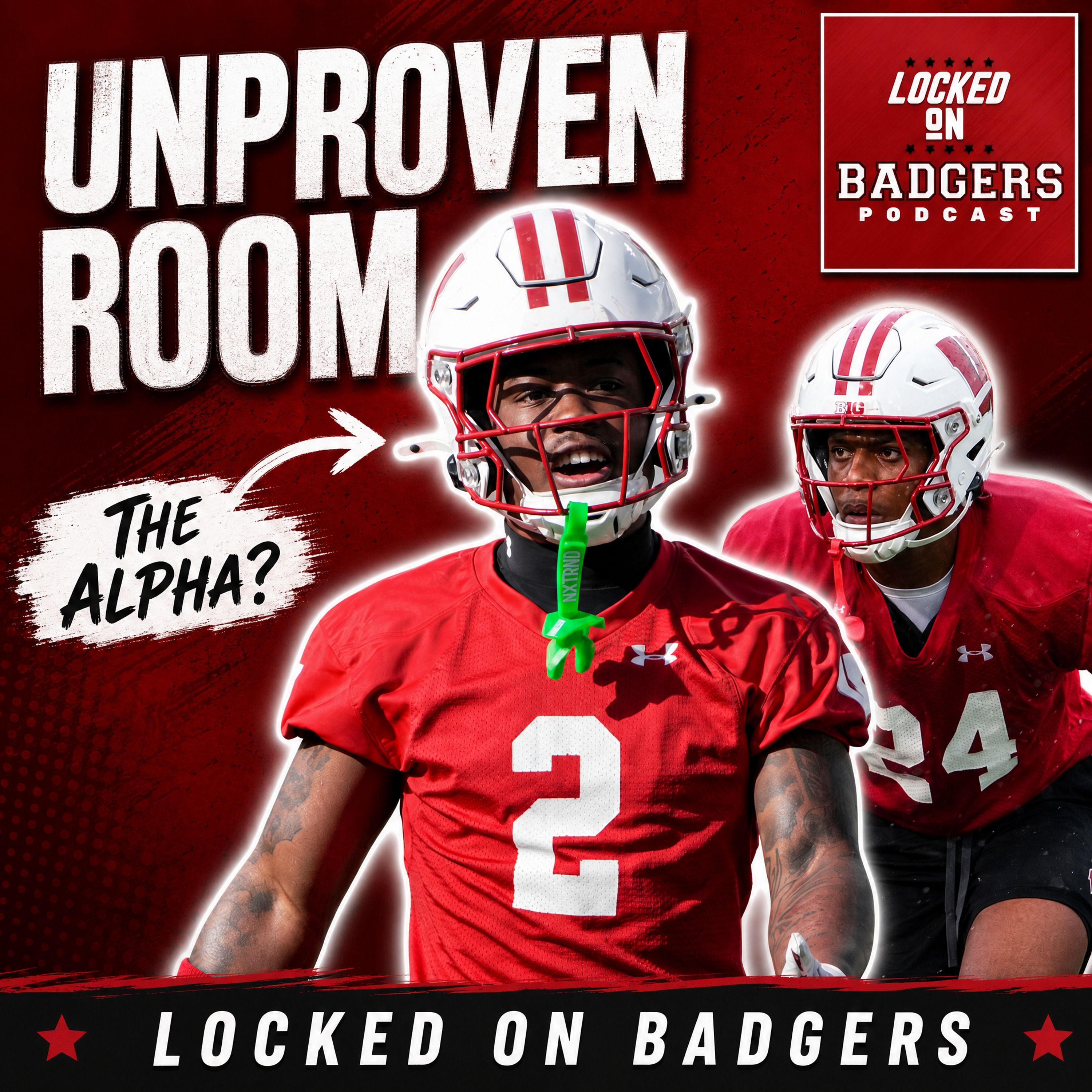 QUESTION MARK: Are Wisconsin Badgers Cornerbacks READY with Javan Robinson & Bryce West Arrivals? episode artwork
