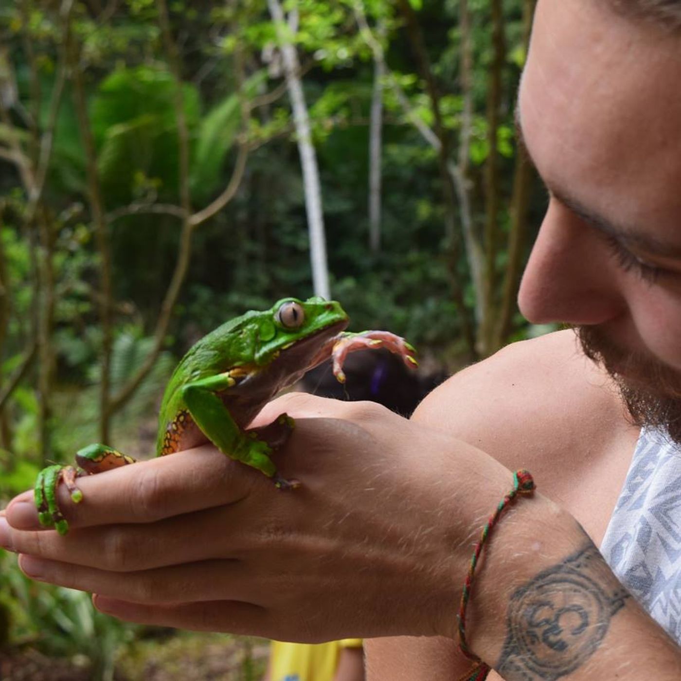 The Vitality Secret Podcast - Defy Disease, Combat Common Illnesses And Stay Young