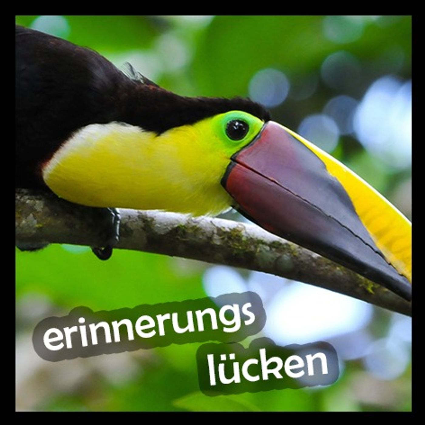 Erinnerungslücken