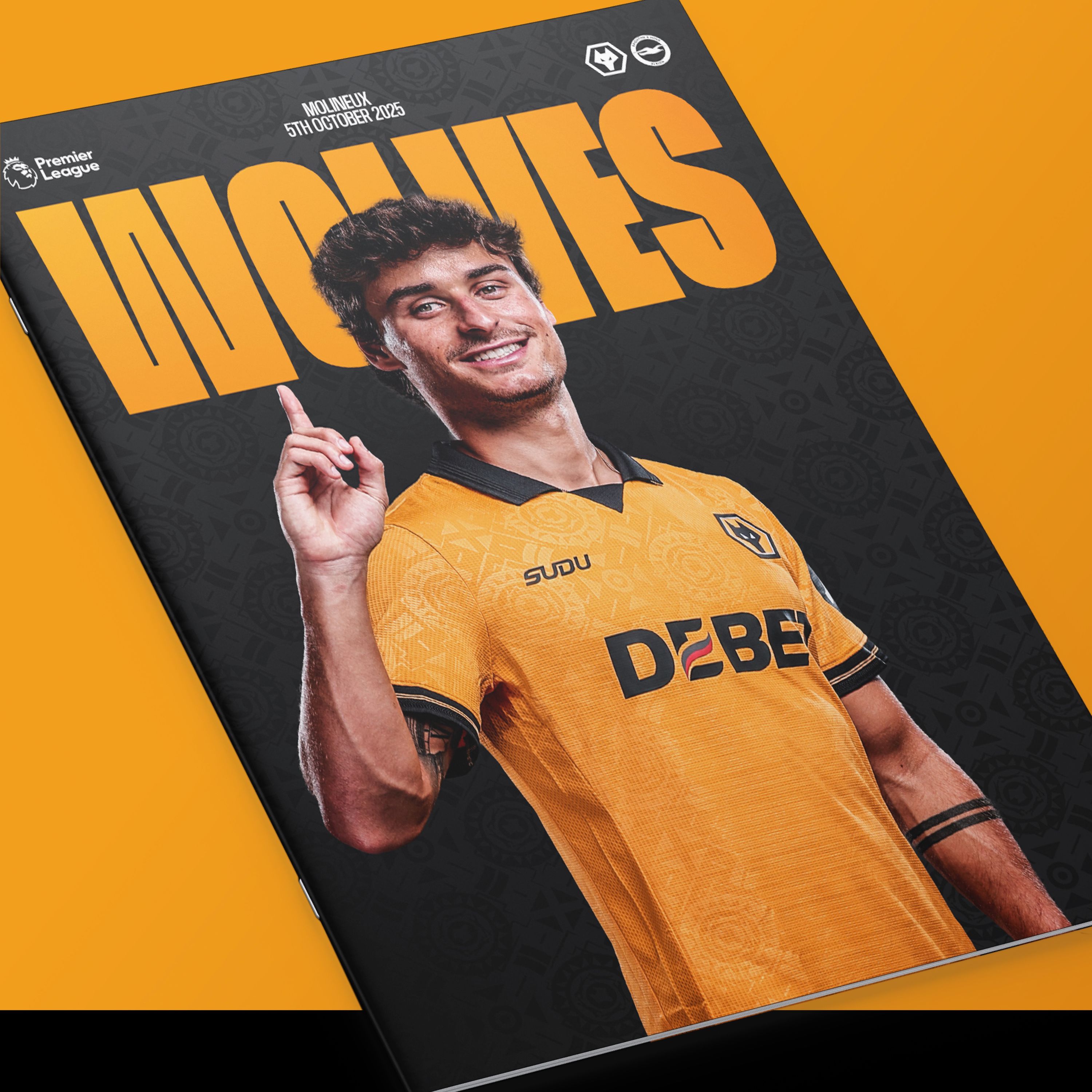 vs Brighton & Hove Albion episode artwork