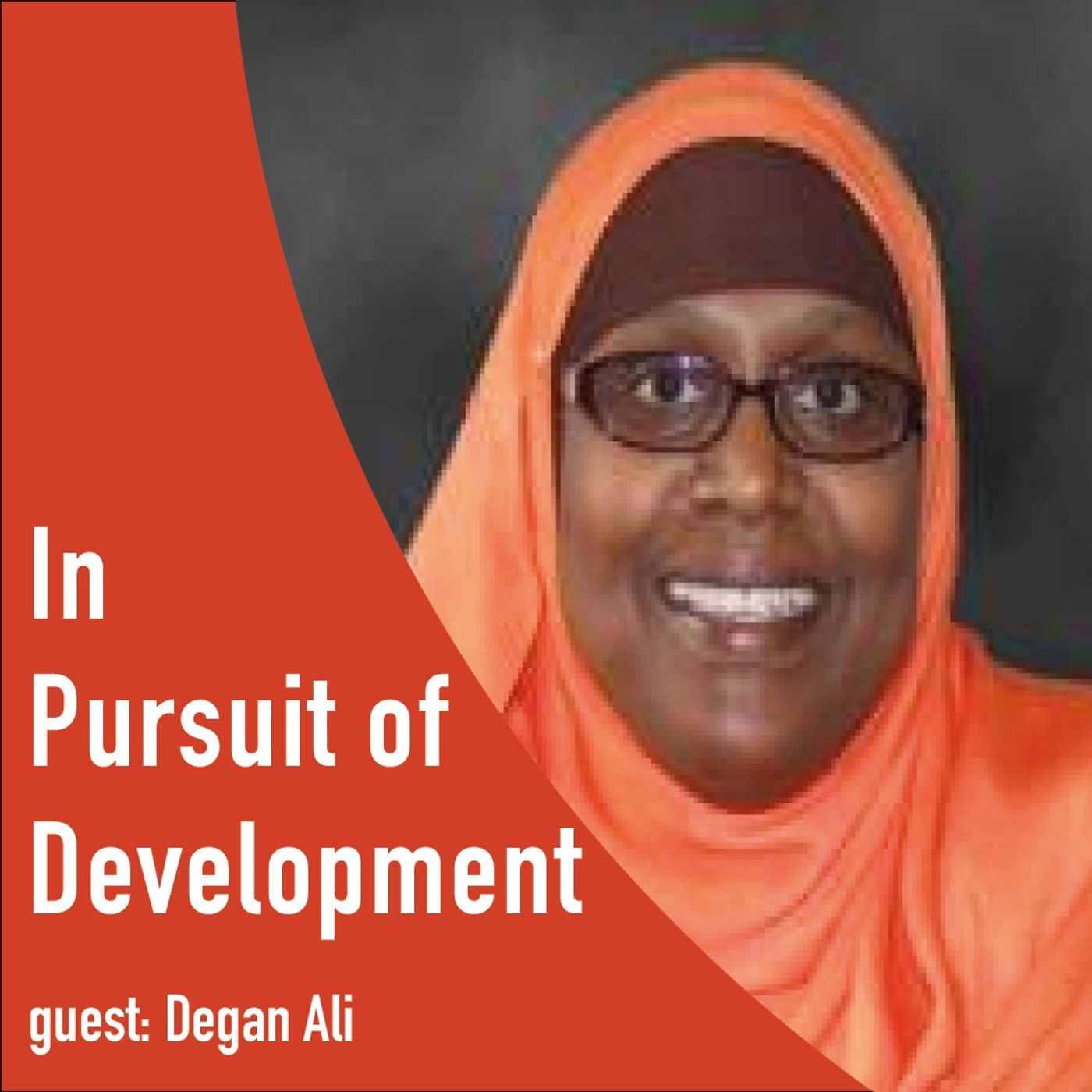 In Pursuit of Development