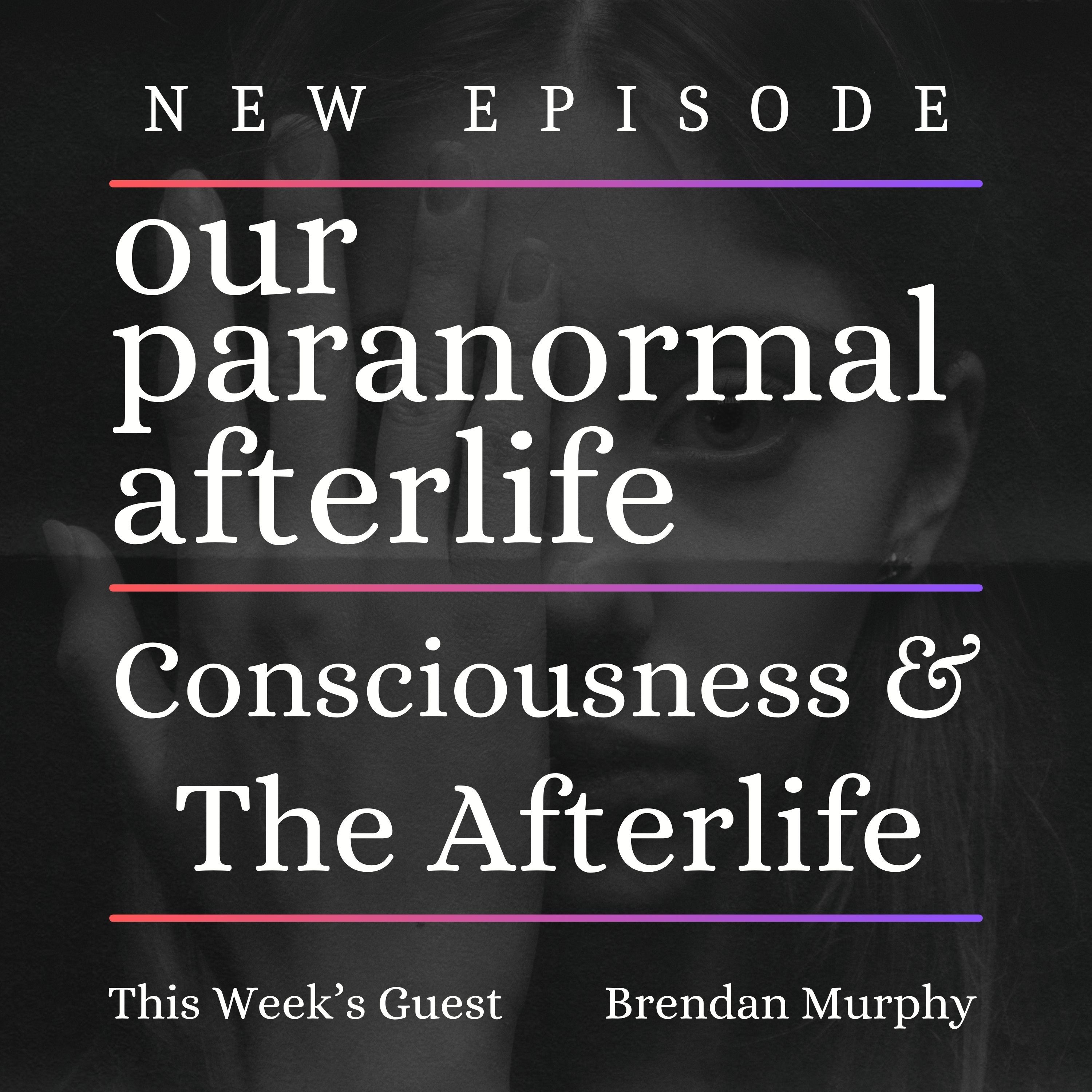 Consciousness & The Afterlife