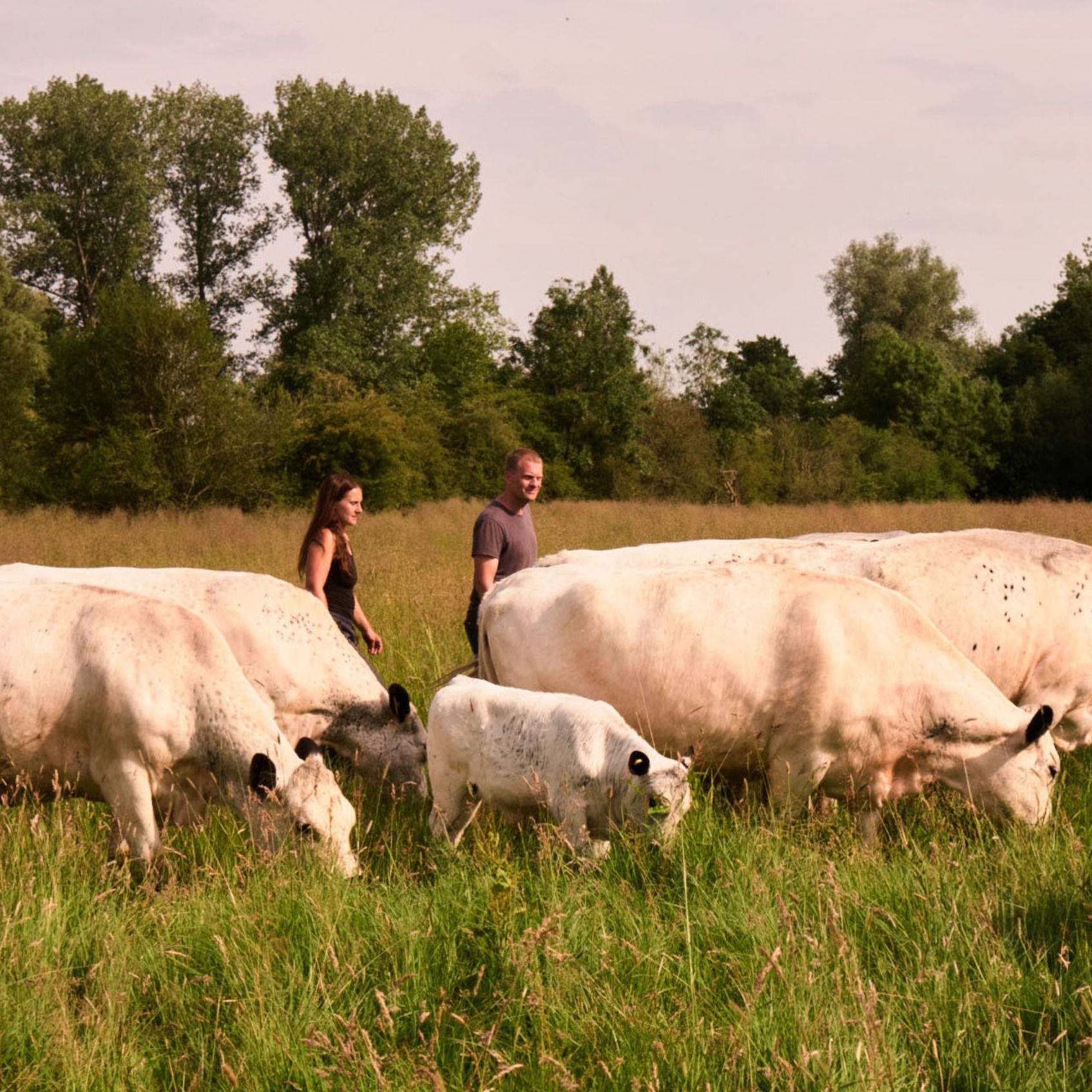 Meet the Farmers