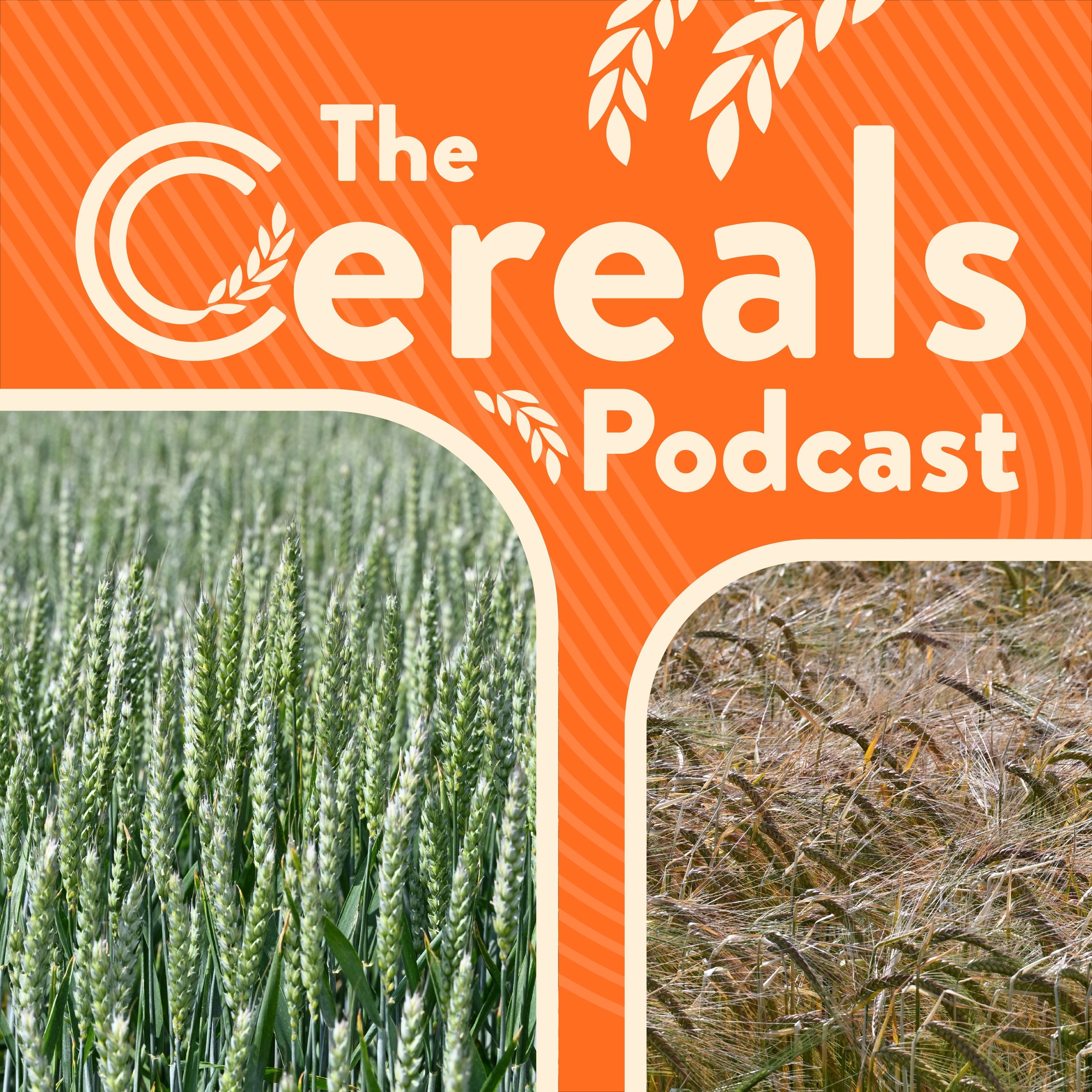 The Cereals Podcast