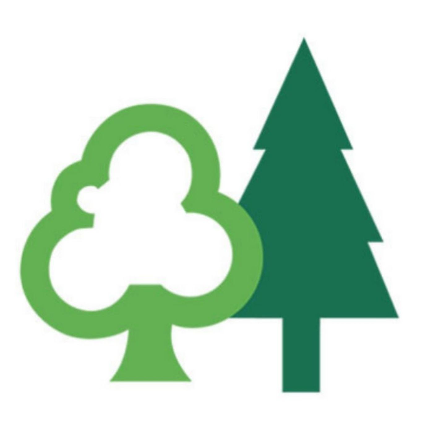 Trees on Farms Mini-series: Episode 2 ''Making Money from Trees'' episode artwork