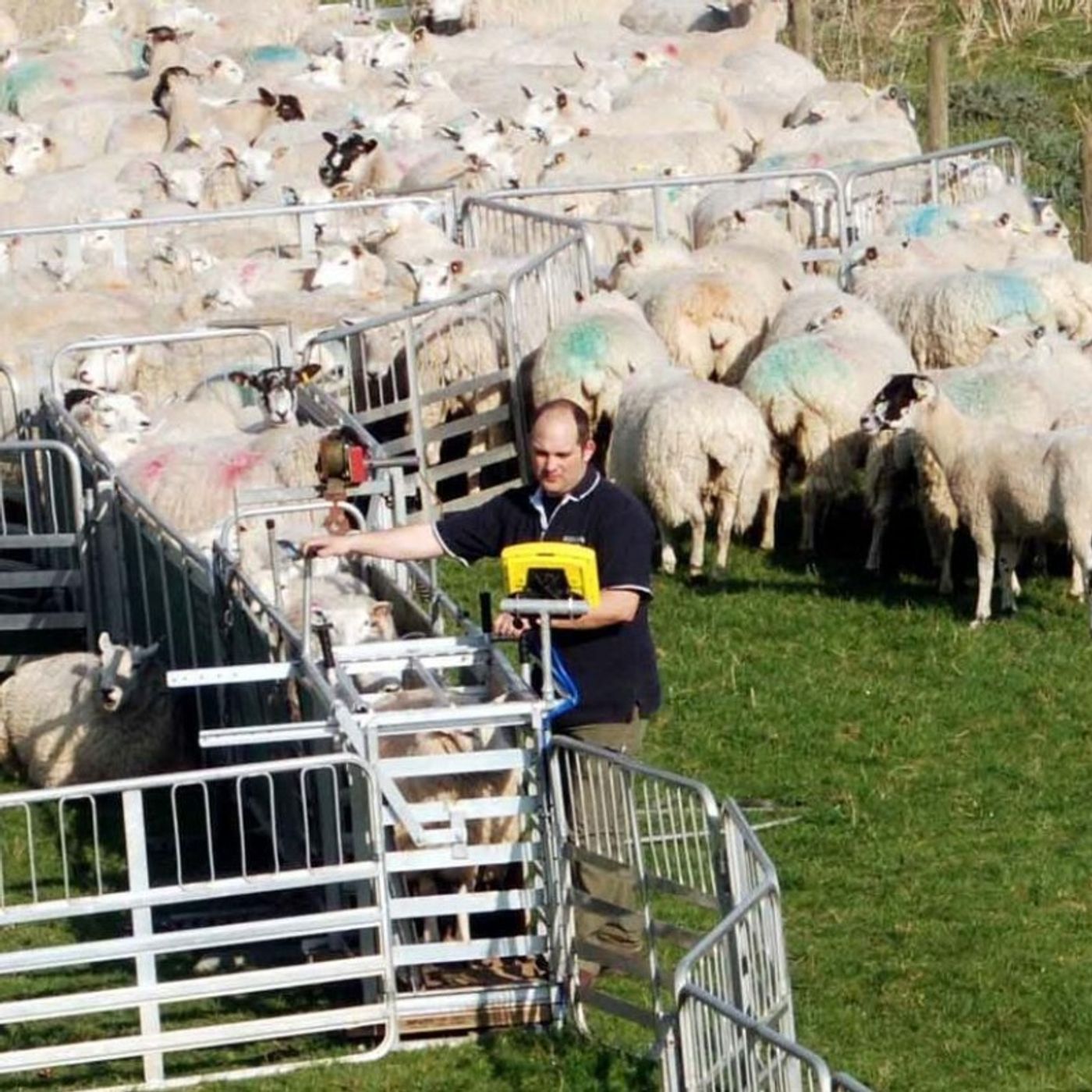 Meet the Farmers