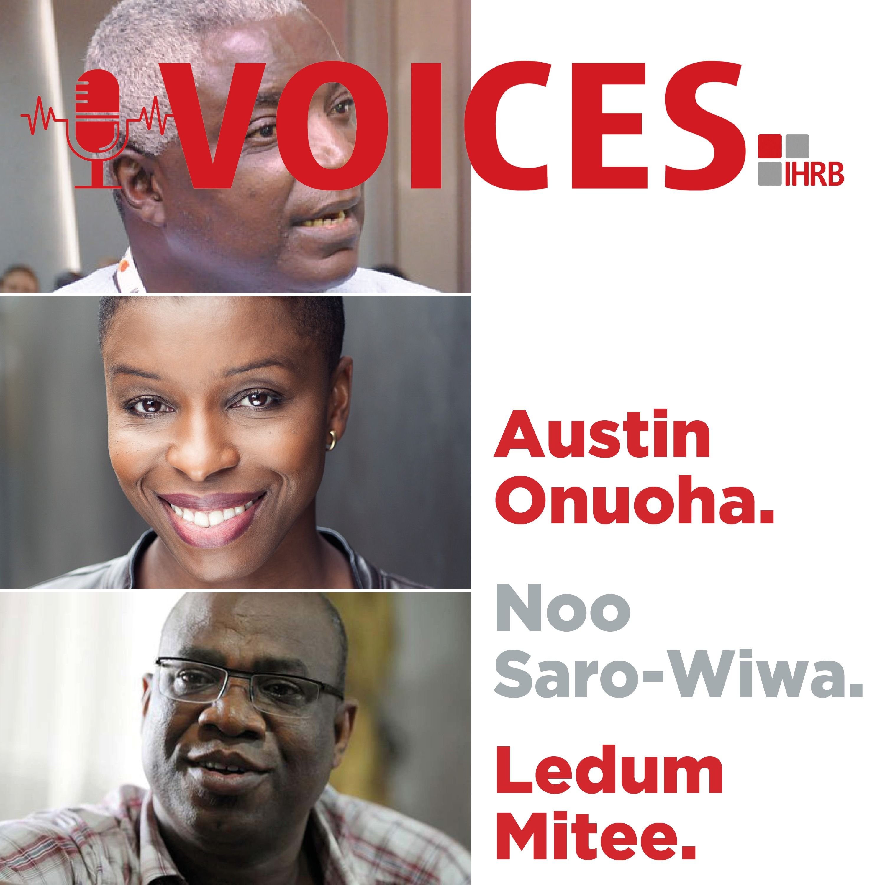 Voices - Conversations on Business and Human Rights from Around the World